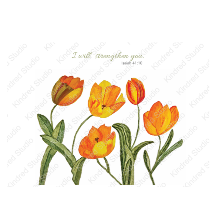strengthentulips_front.png