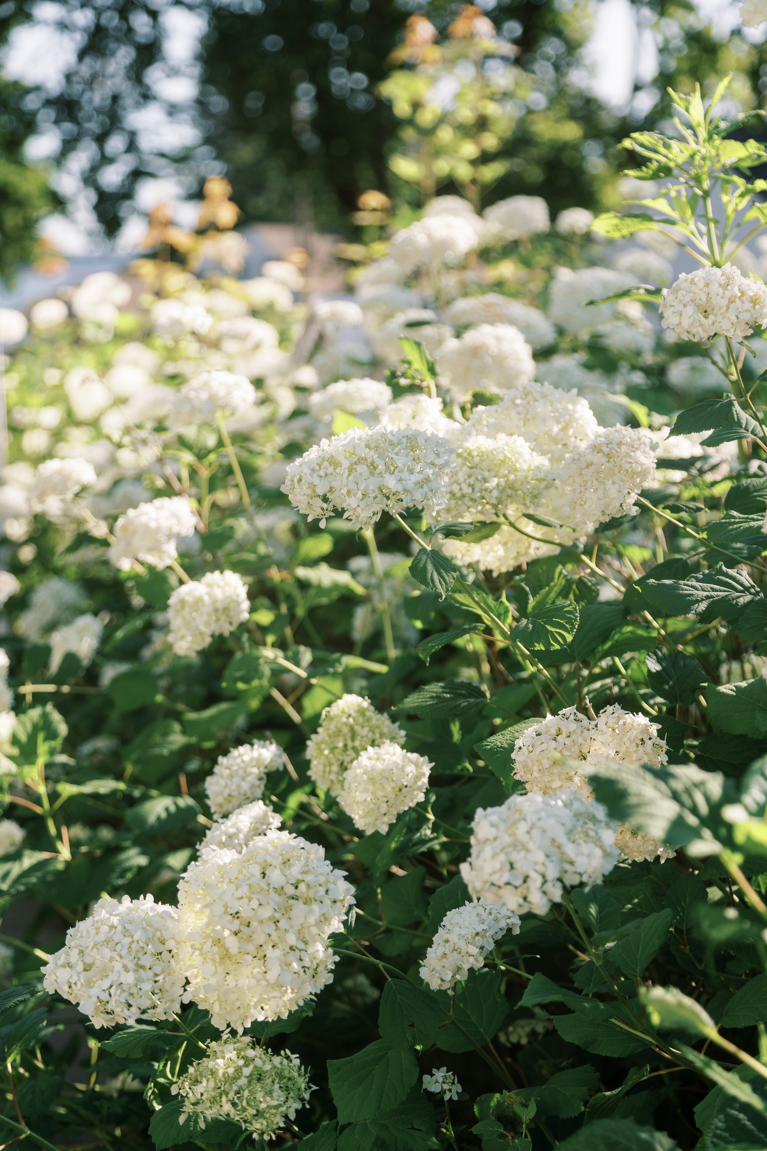 0S6A6947.jpg