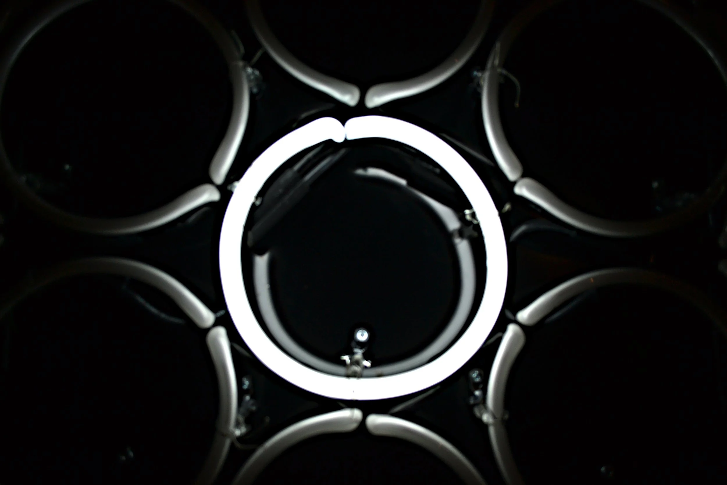 With and Without You photo1.JPG