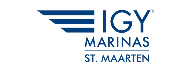 Logo IGY.png