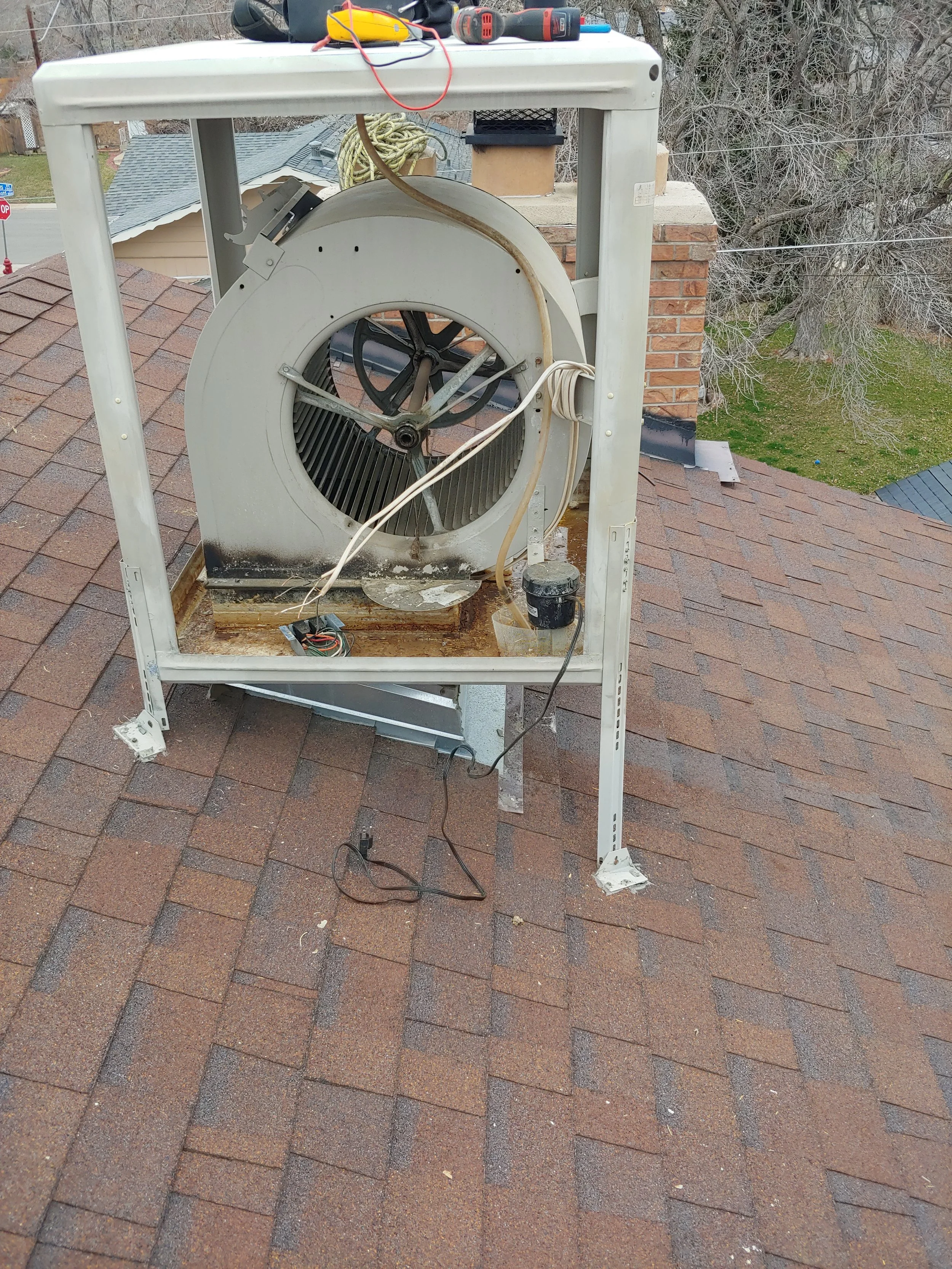 20190402_100416 (1).jpg