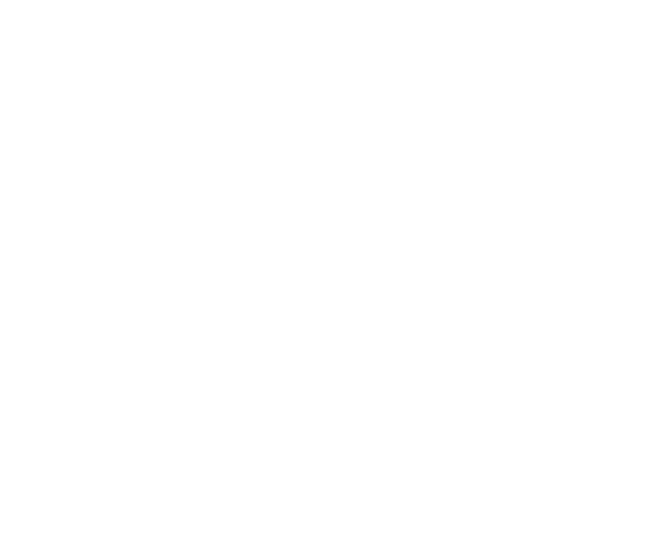 Discover Partners White Logo. Two half circles above the wordmark