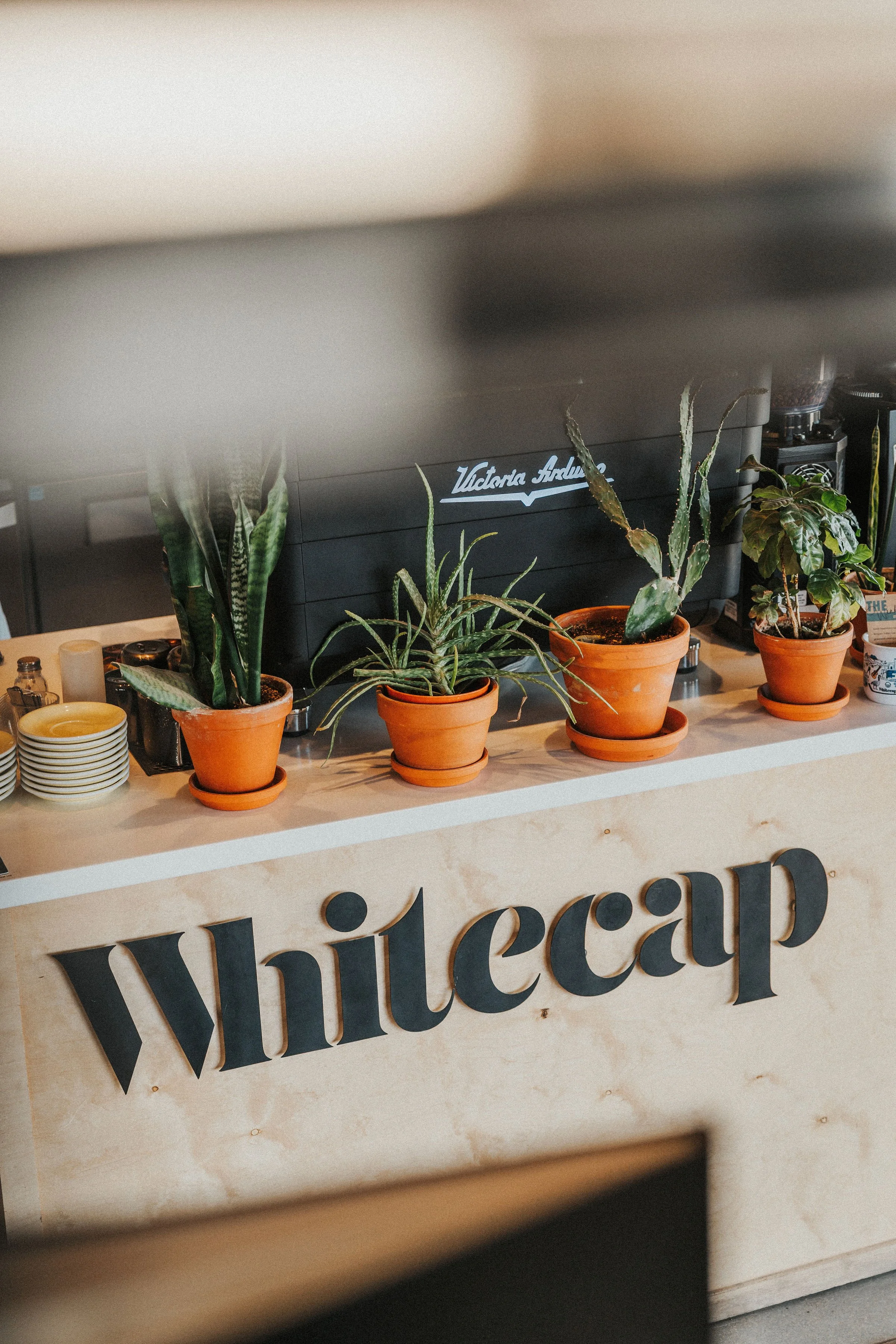 WhitecapCoffee_April152025-033.jpg