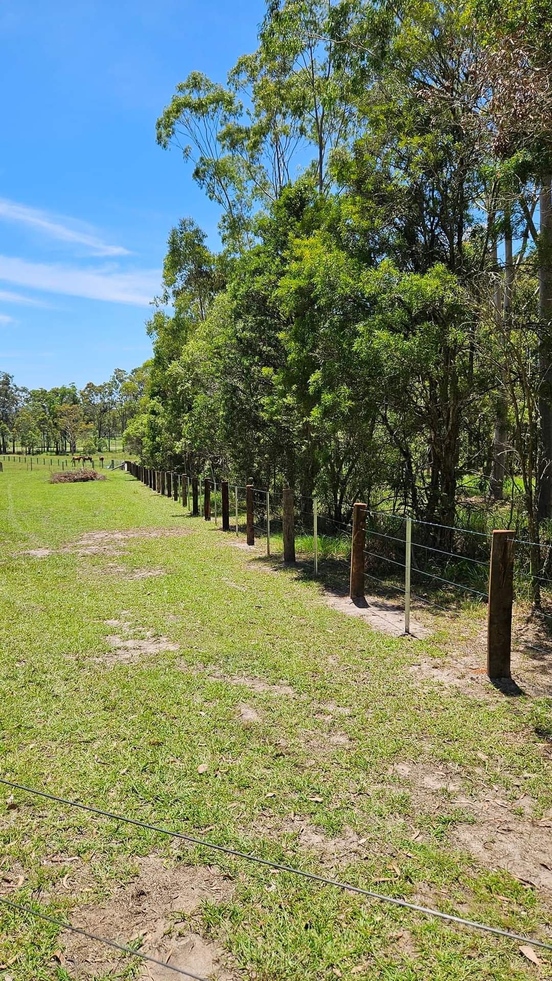 A grassy field with a fence made of wooden posts and wire, trees along the fence line, and a blue sky with some clouds. In the distance, a horse can be seen grazing.