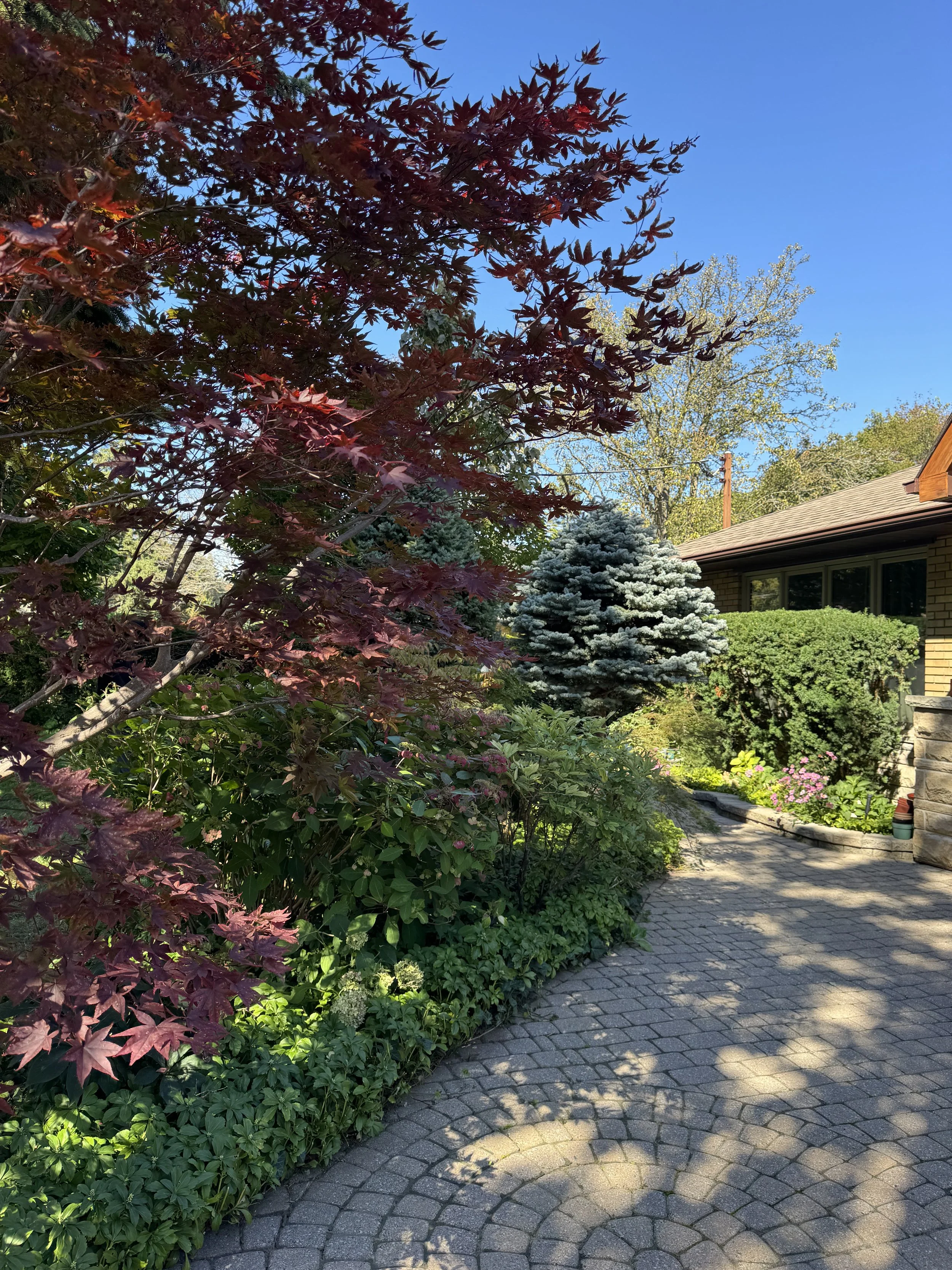 OAK&CROWN: HEDGING /2026