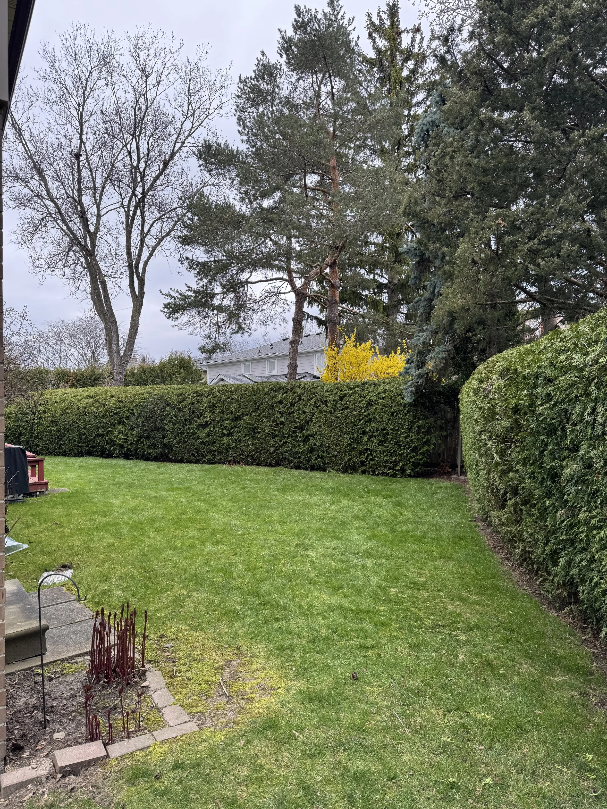 OAK&CROWN: HEDGING /2026