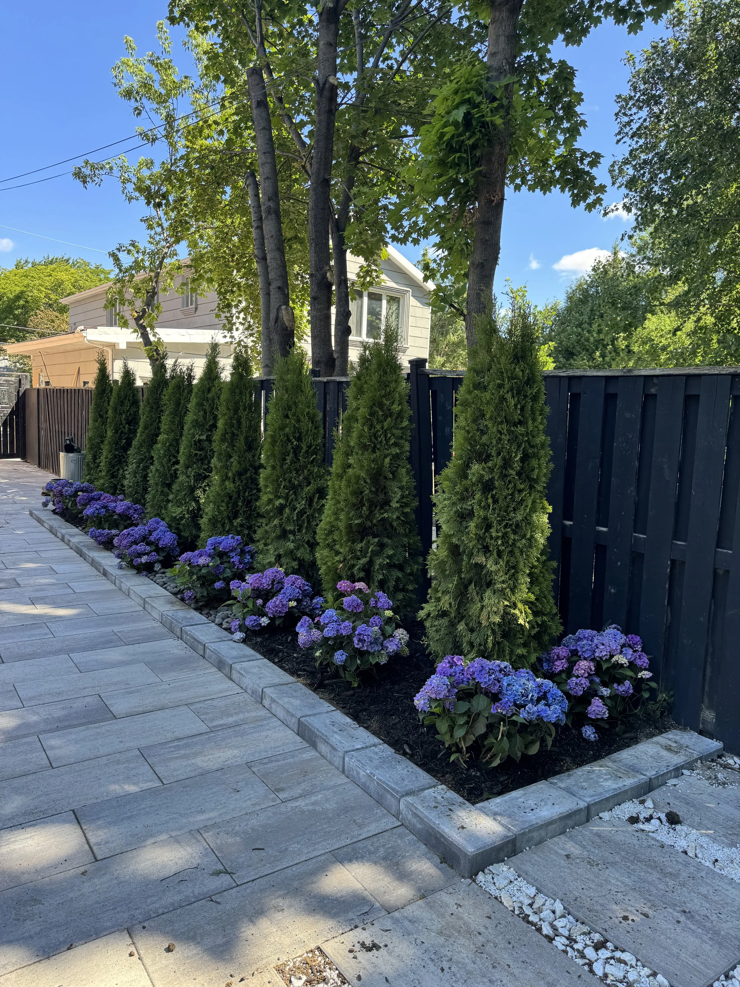 OAK&CROWN: LANDSCAPE DESIGN CEDAR PRIVACY FENCE /2025