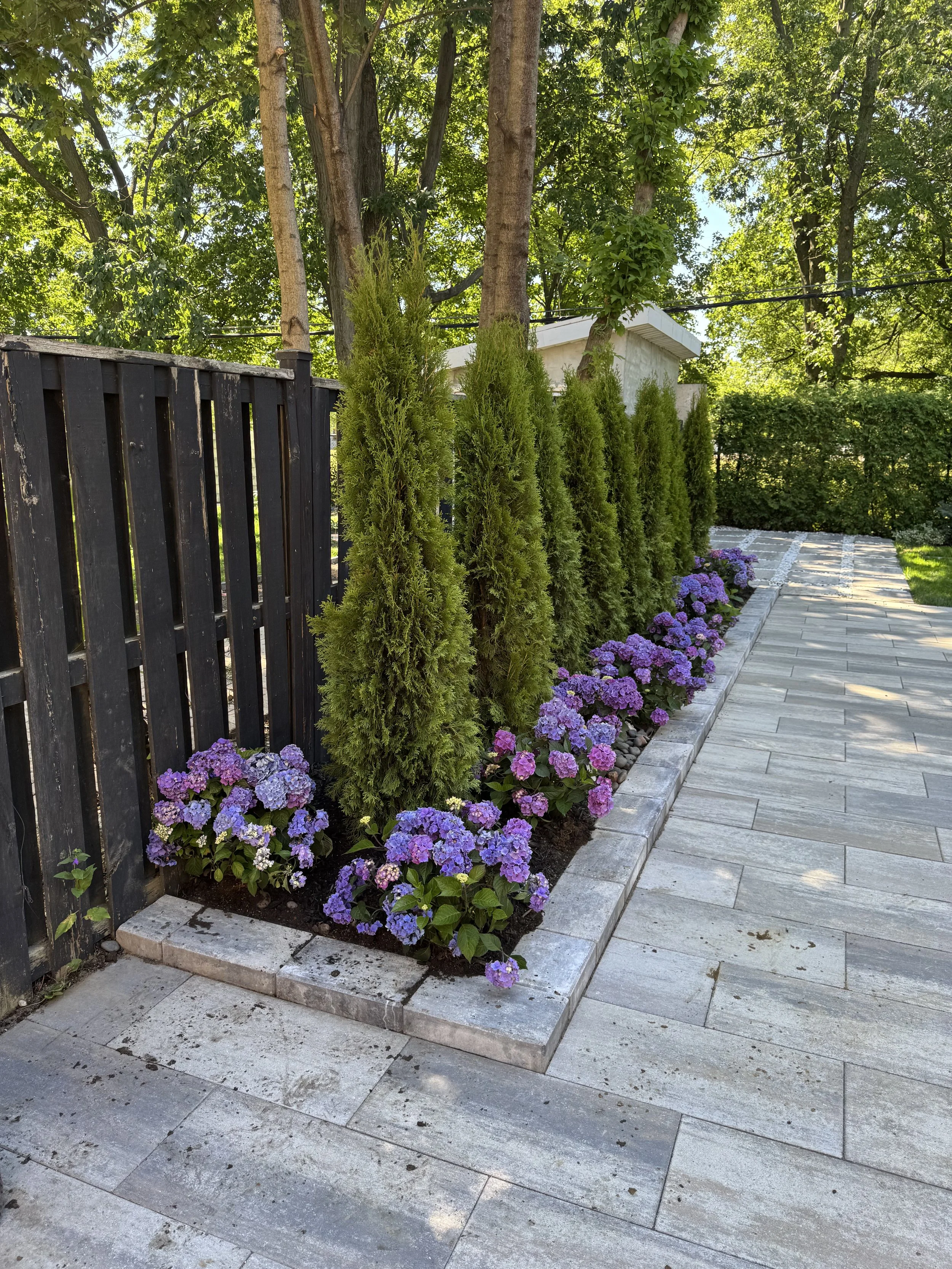 OAK&CROWN: LANDSCAPE DESIGN CEDAR PRIVACY FENCE /2025