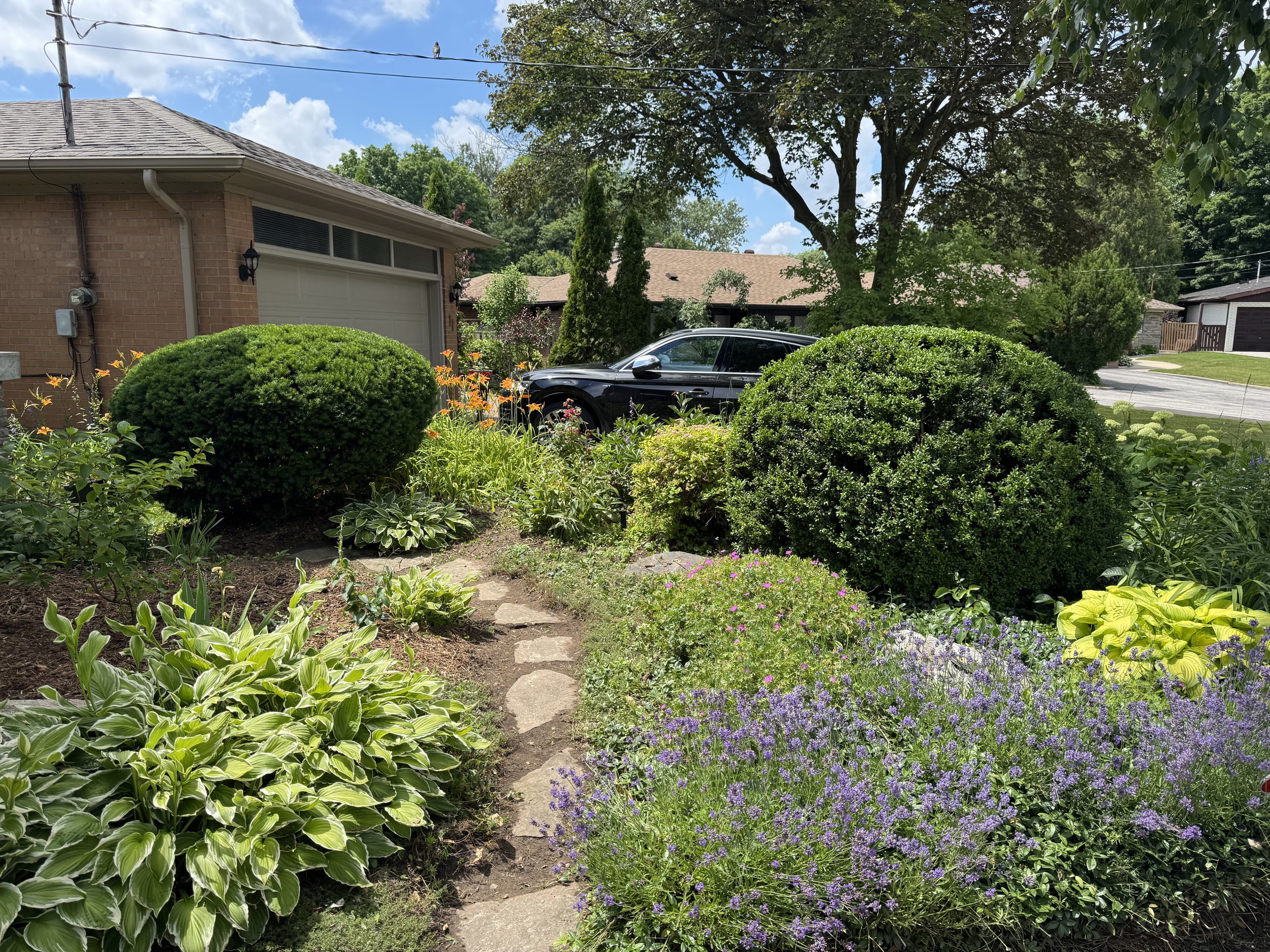 OAK&CROWN: HEDGING /2025