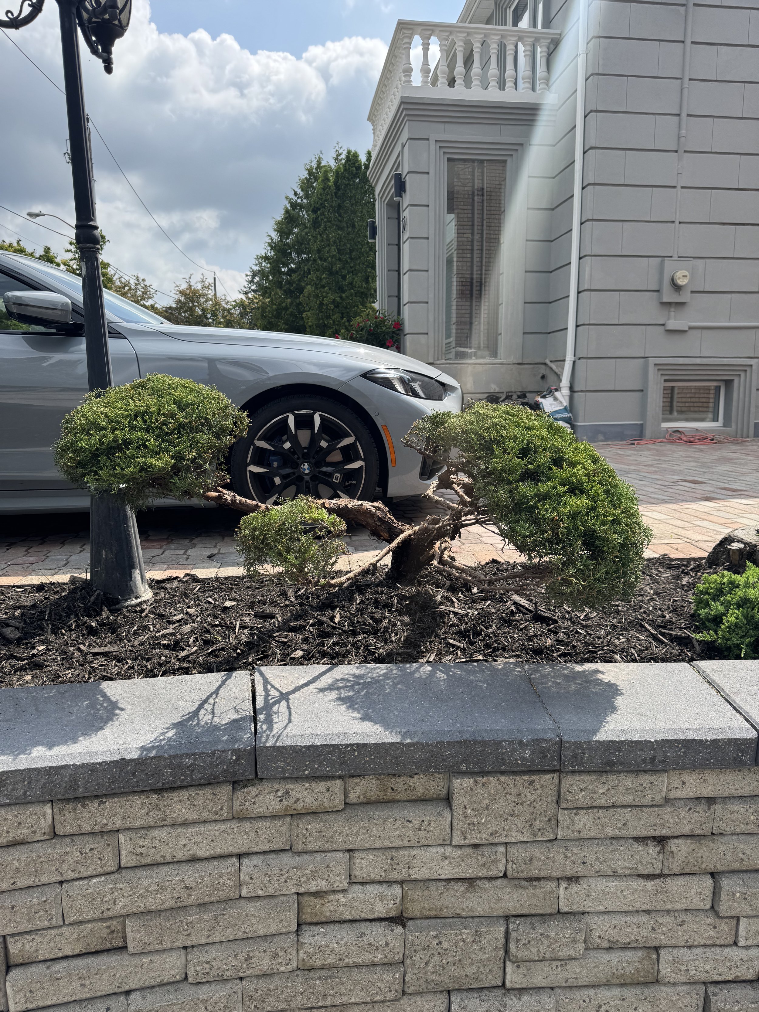 OAK&CROWN: HEDGING /2025