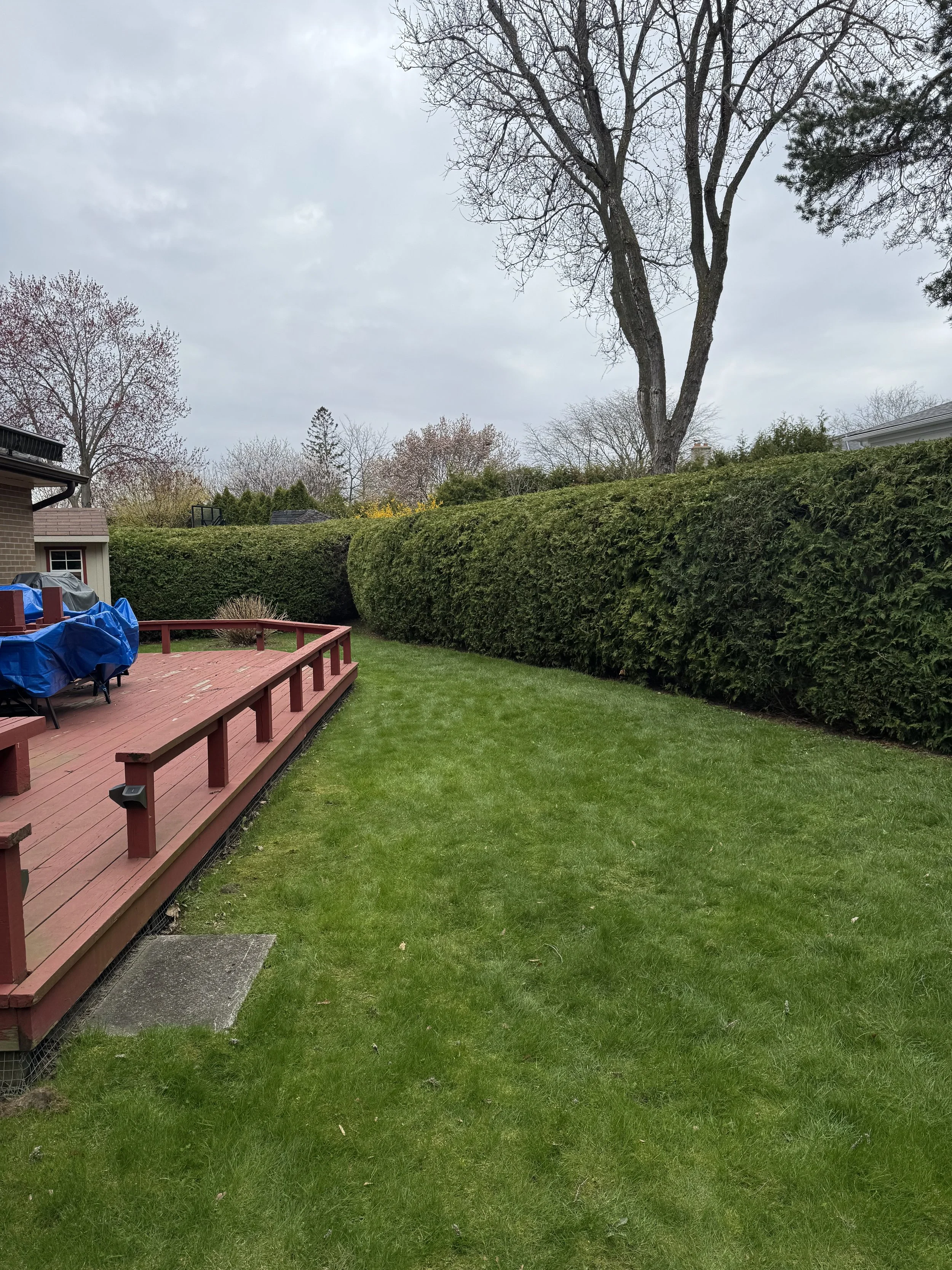 OAK&CROWN: HEDGING /2026