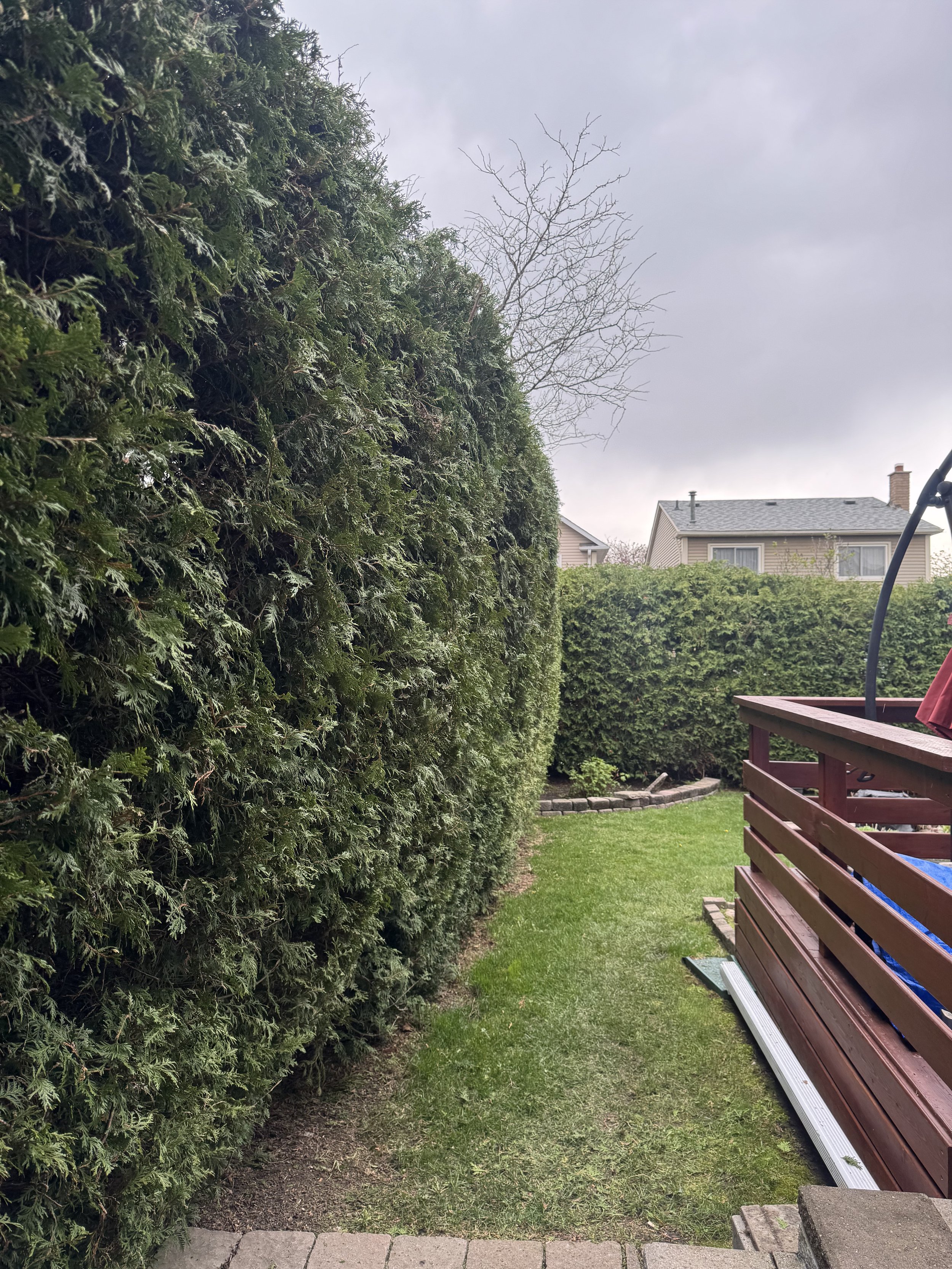 OAK&CROWN: HEDGING /2026