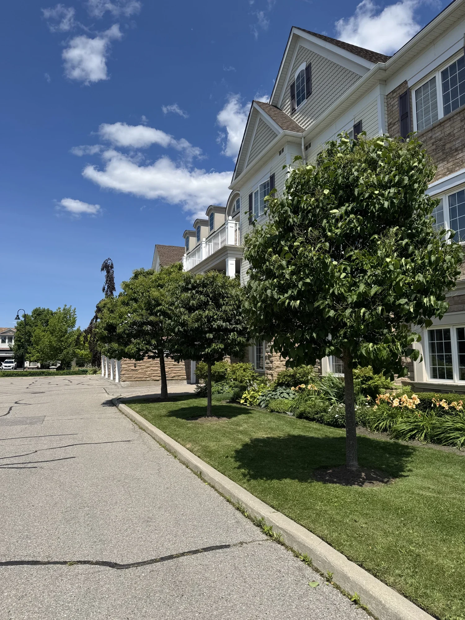 OAK&CROWN: COMMERCIAL TREE PRUNING&CARE /2025