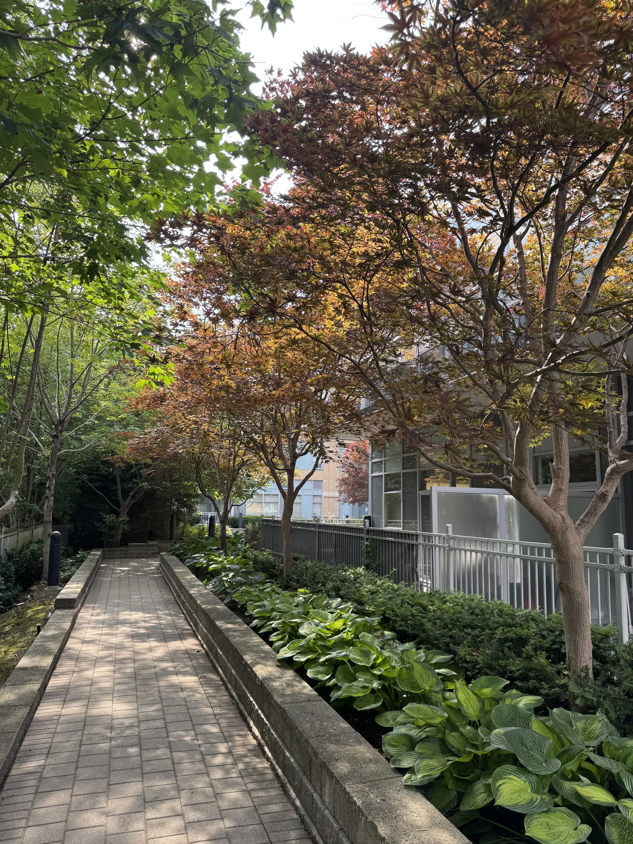 OAK&CROWN: COMMERCIAL TREE PRUNING&CARE /2026