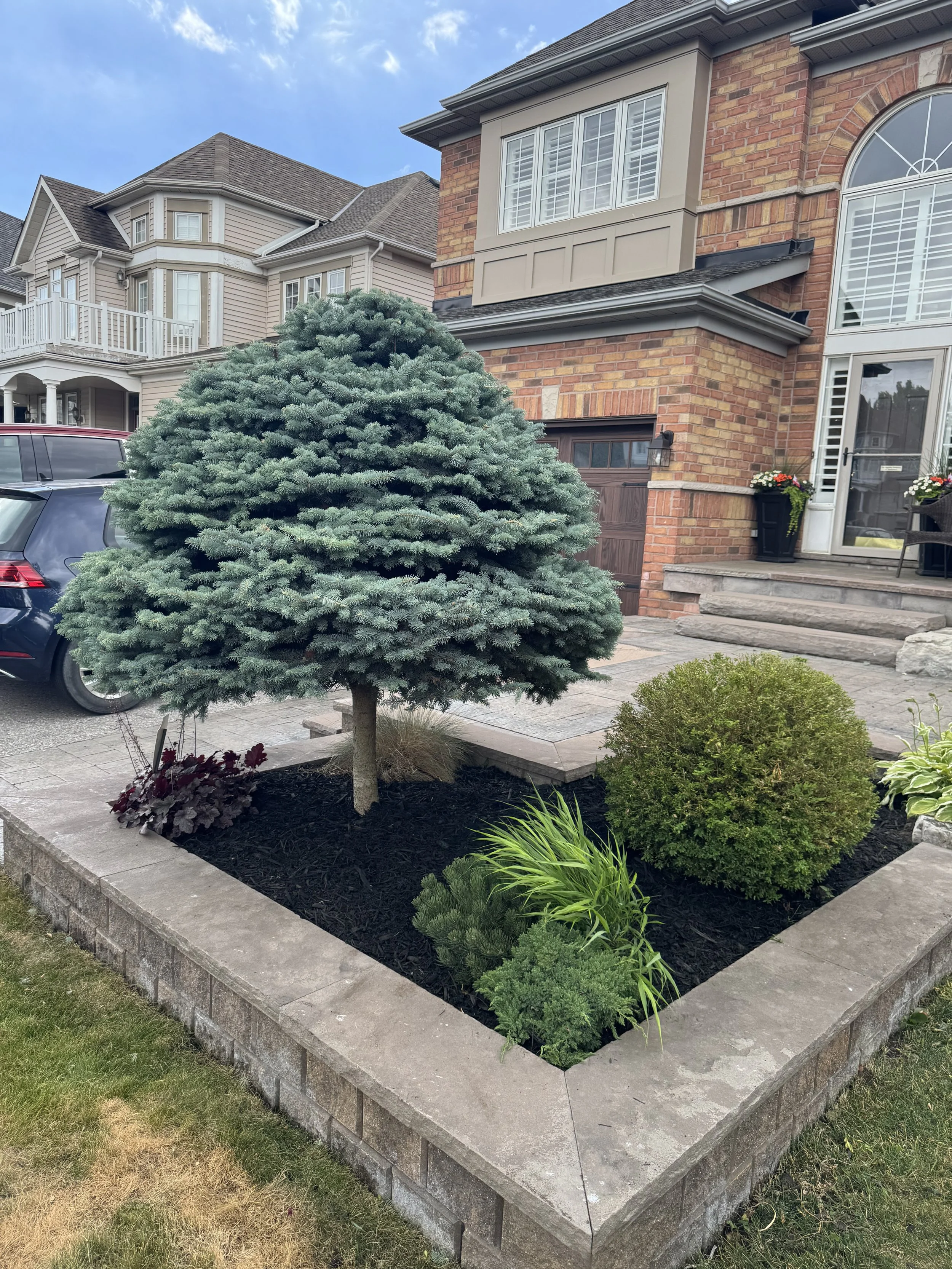 OAK&CROWN: LANDSCAPE DESIGN /2025