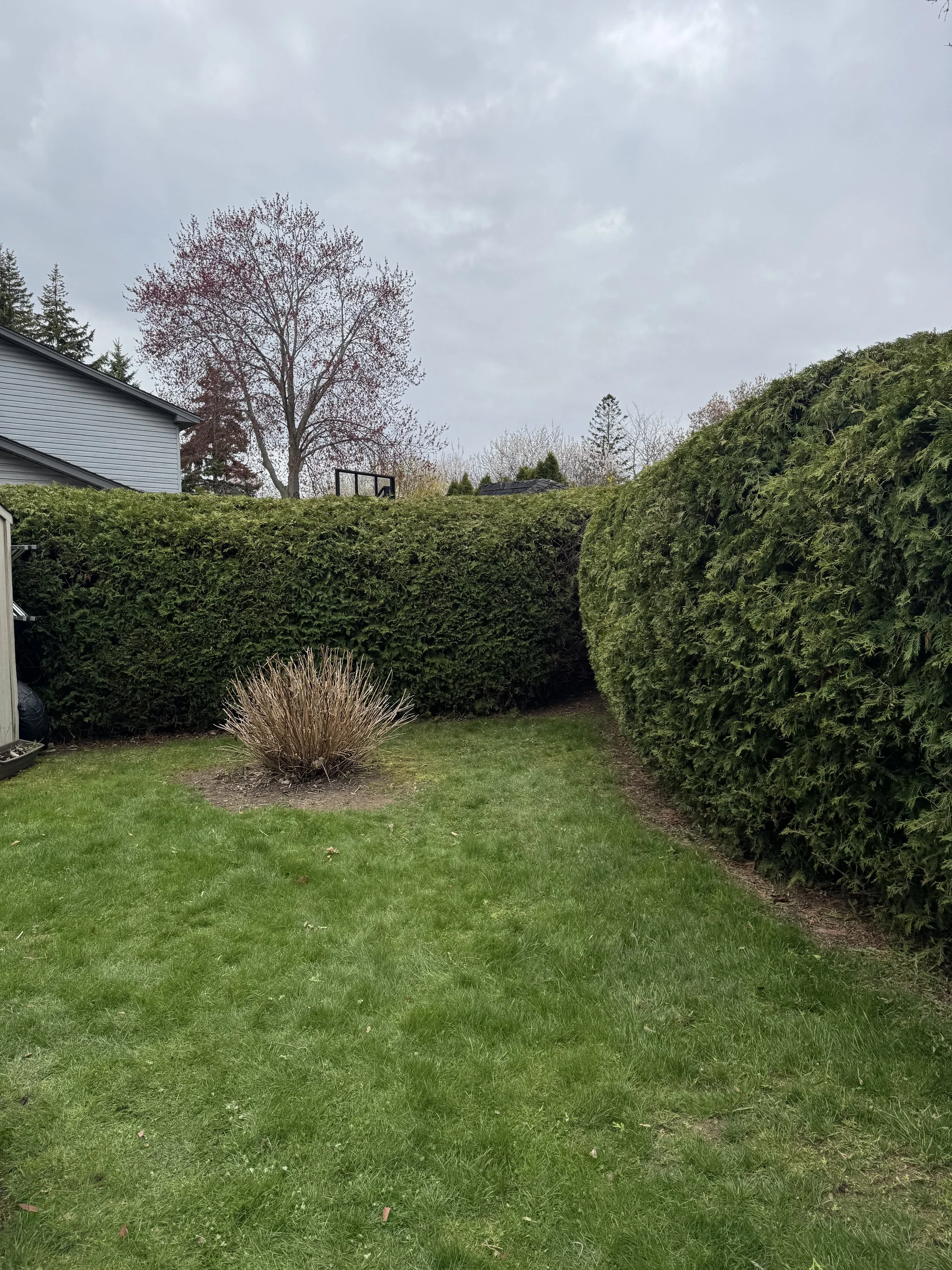 OAK&CROWN: HEDGING /2026