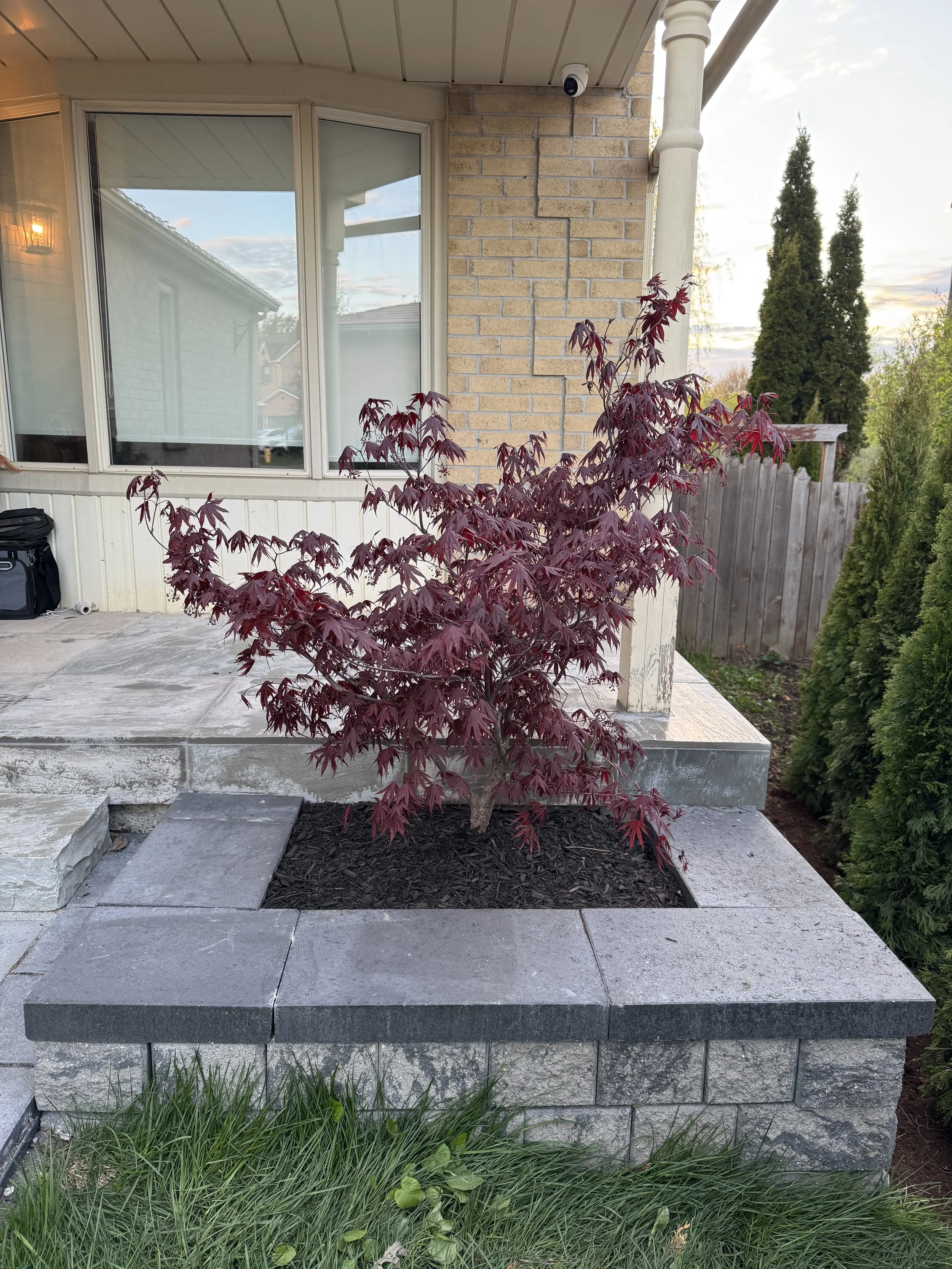 OAK&CROWN: LANDSCAPE DESIGN /2026