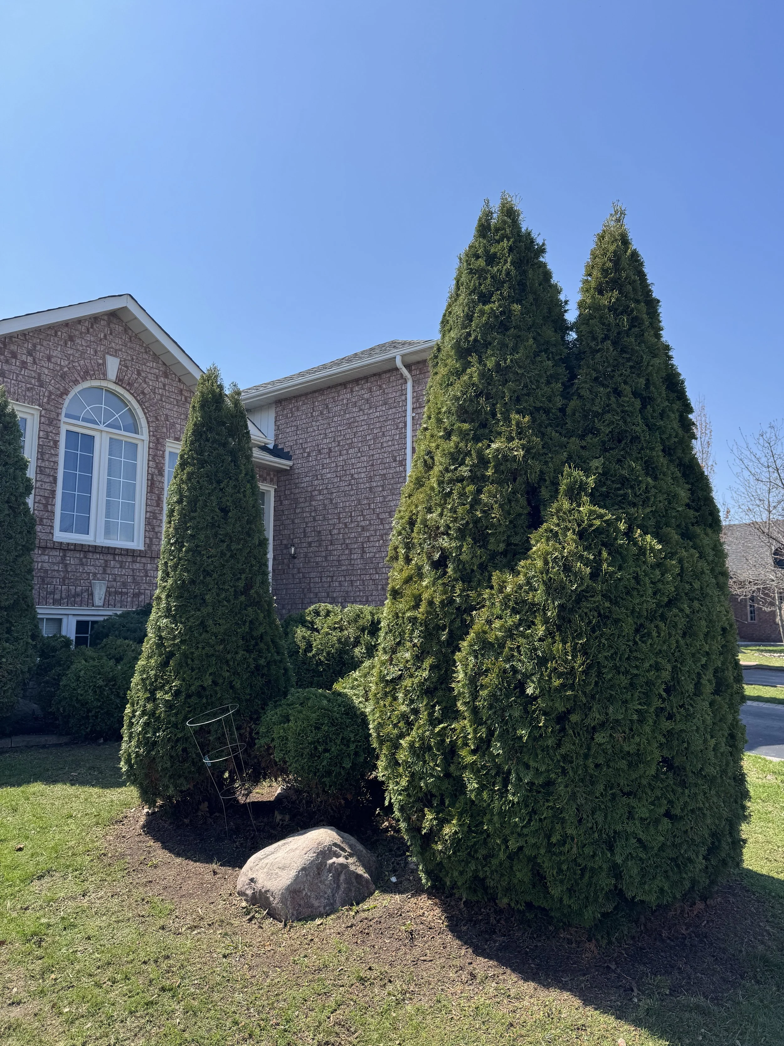 OAK&CROWN: HEDGING /2026