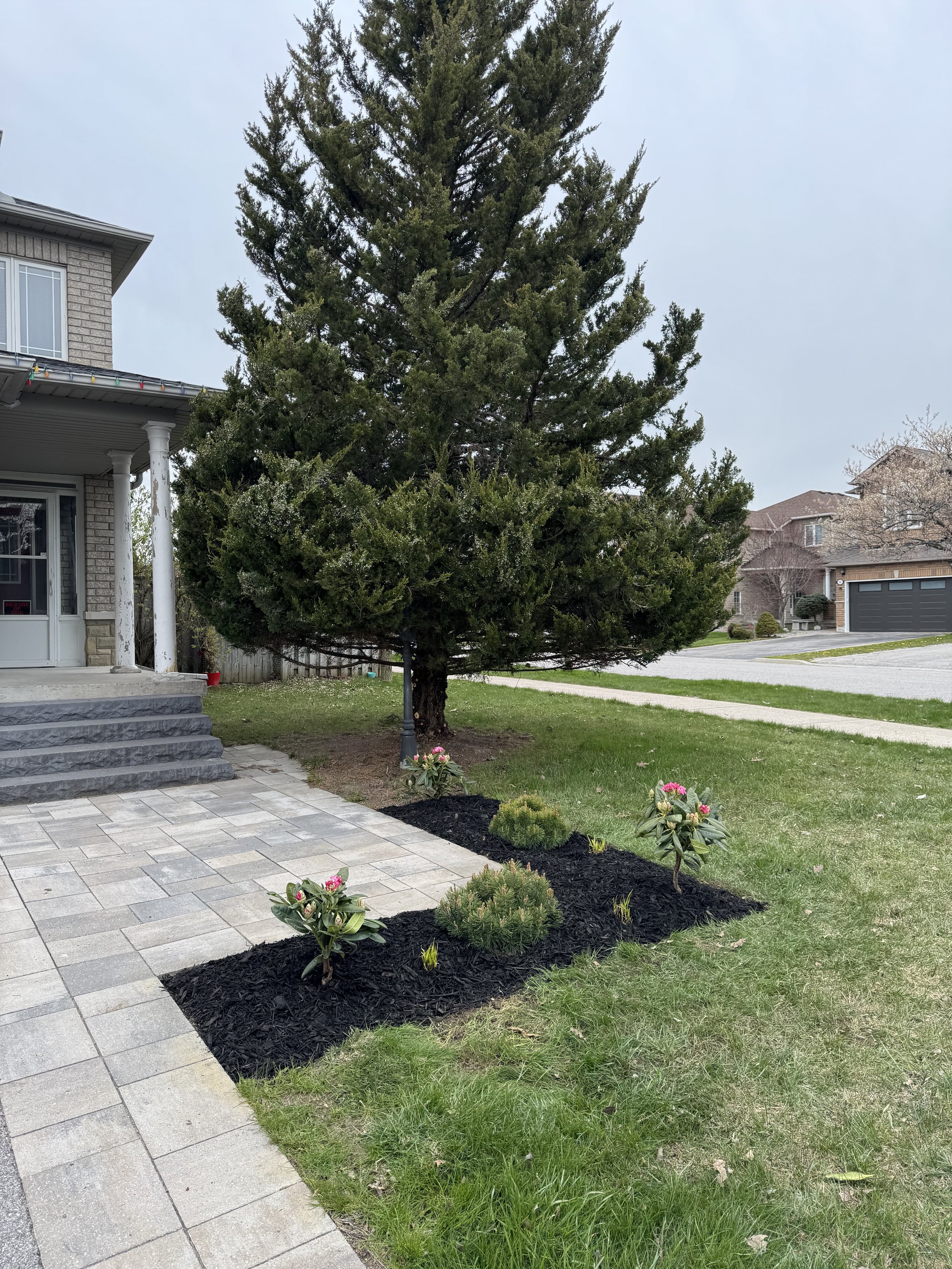 OAK&CROWN: LANDSCAPE DESIGN /2026