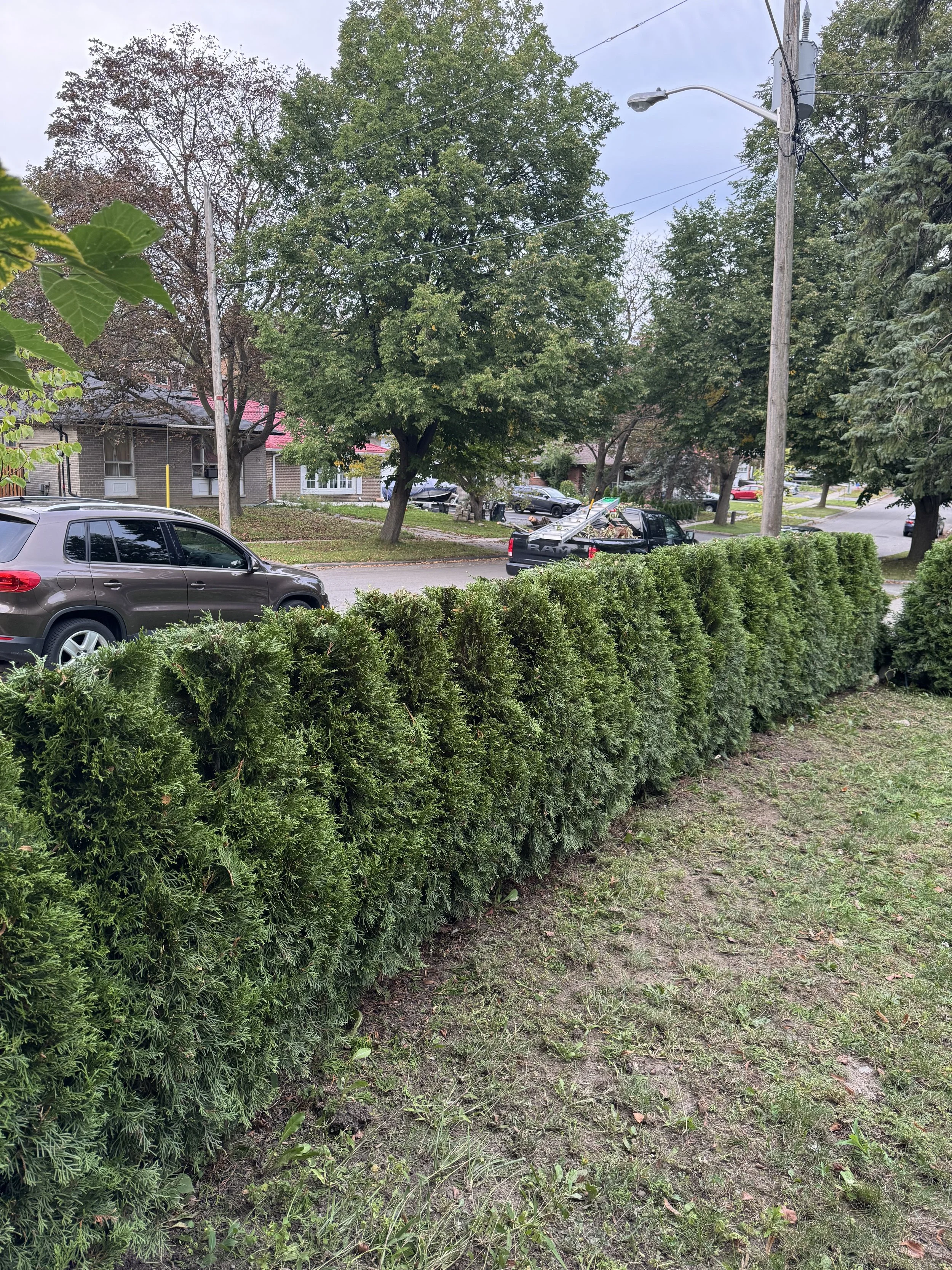 OAK&CROWN: HEDGING /2026