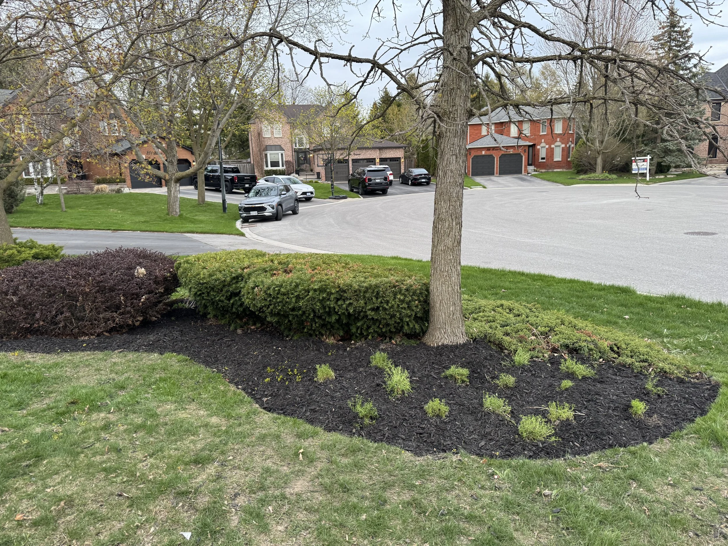OAK&CROWN: LANDSCAPE DESIGN /2026