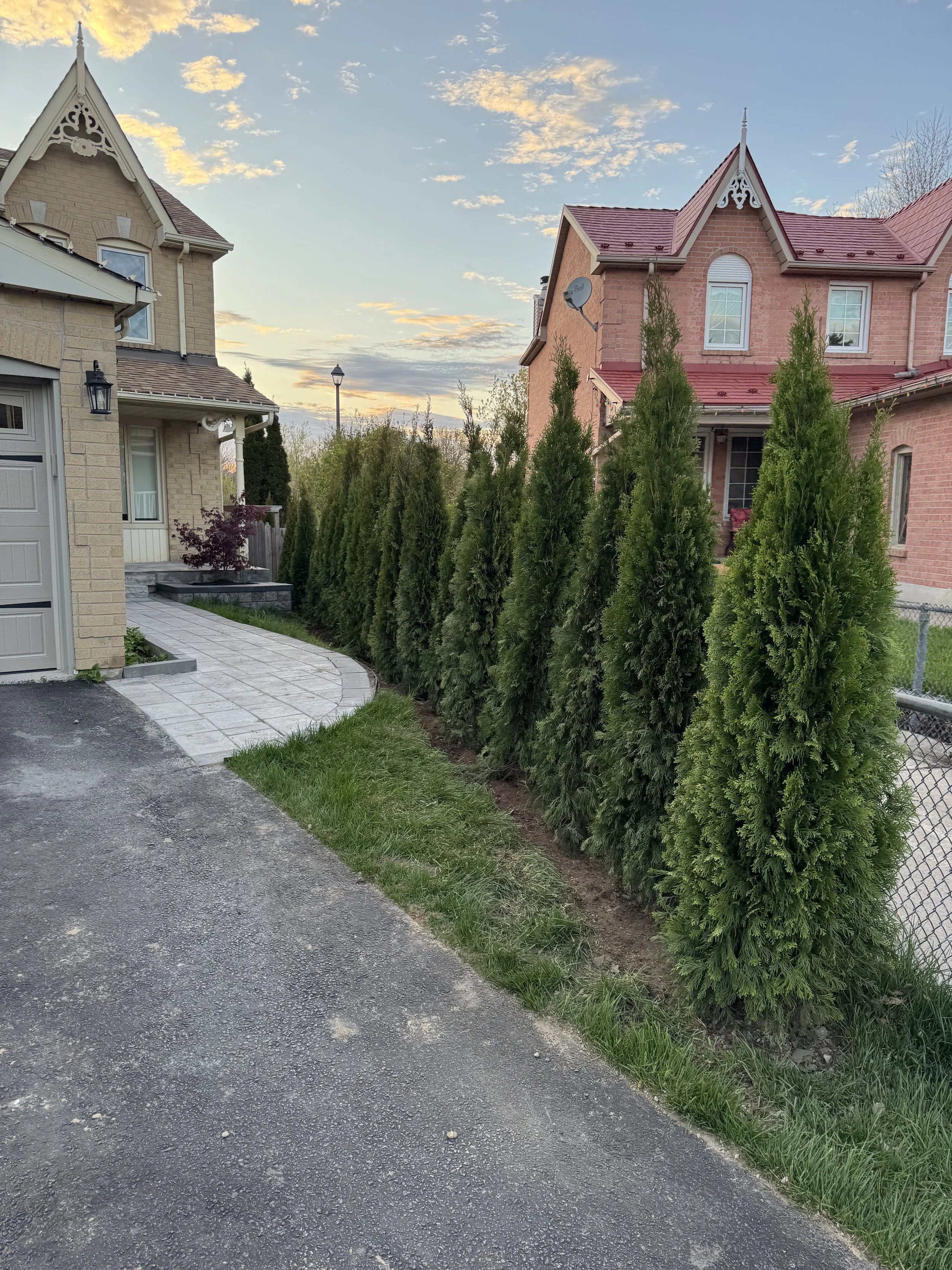 OAK&CROWN: LANDSCAPE DESIGN CEDAR PRIVACY FENCE /2026
