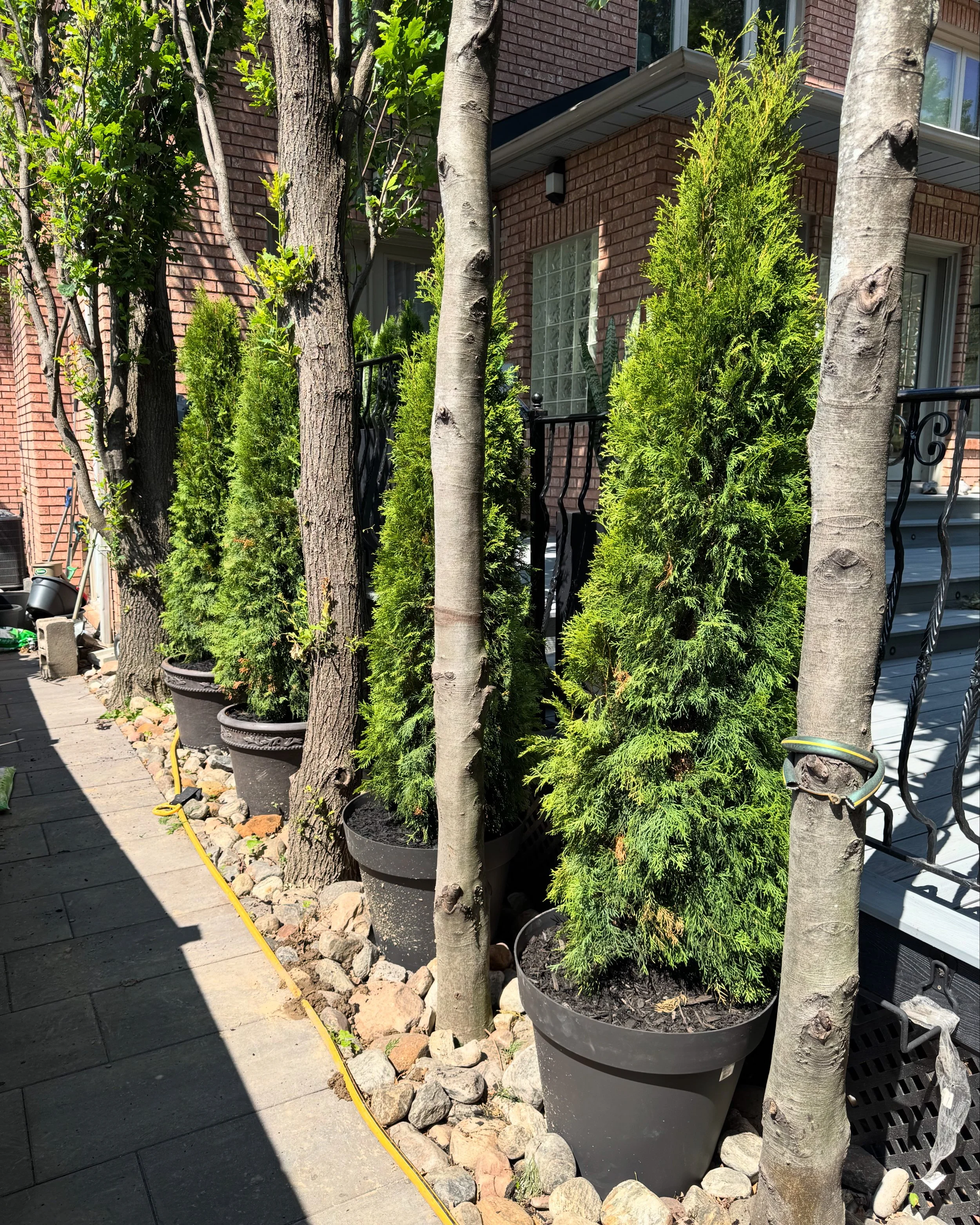 OAK&CROWN: LANDSCAPE DESIGN CEDAR PRIVACY FENCE /2025