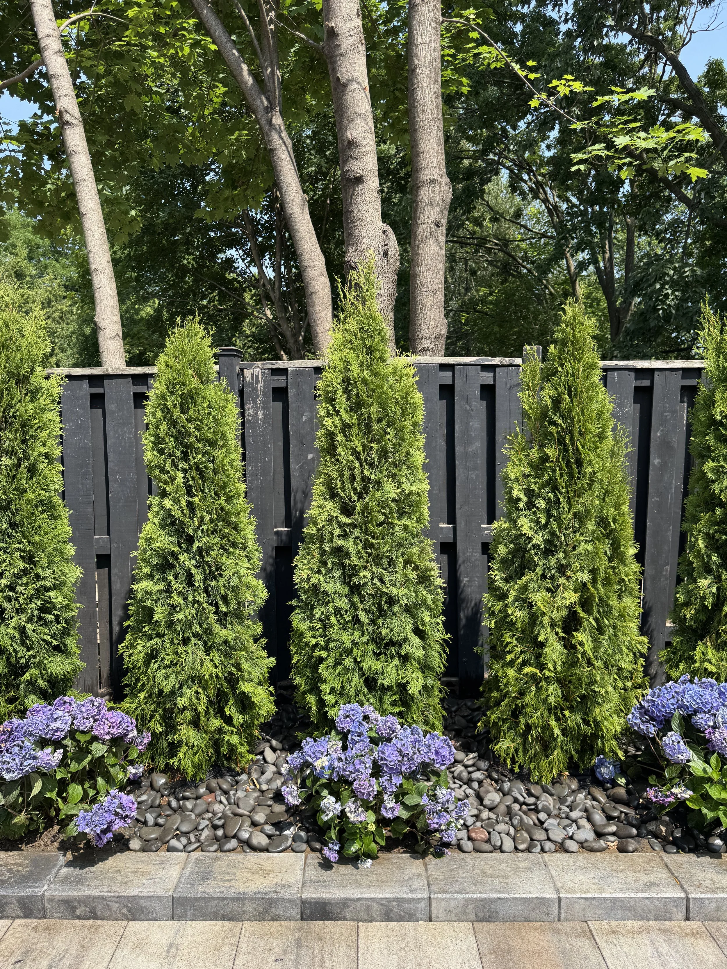 OAK&CROWN: LANDSCAPE DESIGN CEDAR PRIVACY FENCE /2025