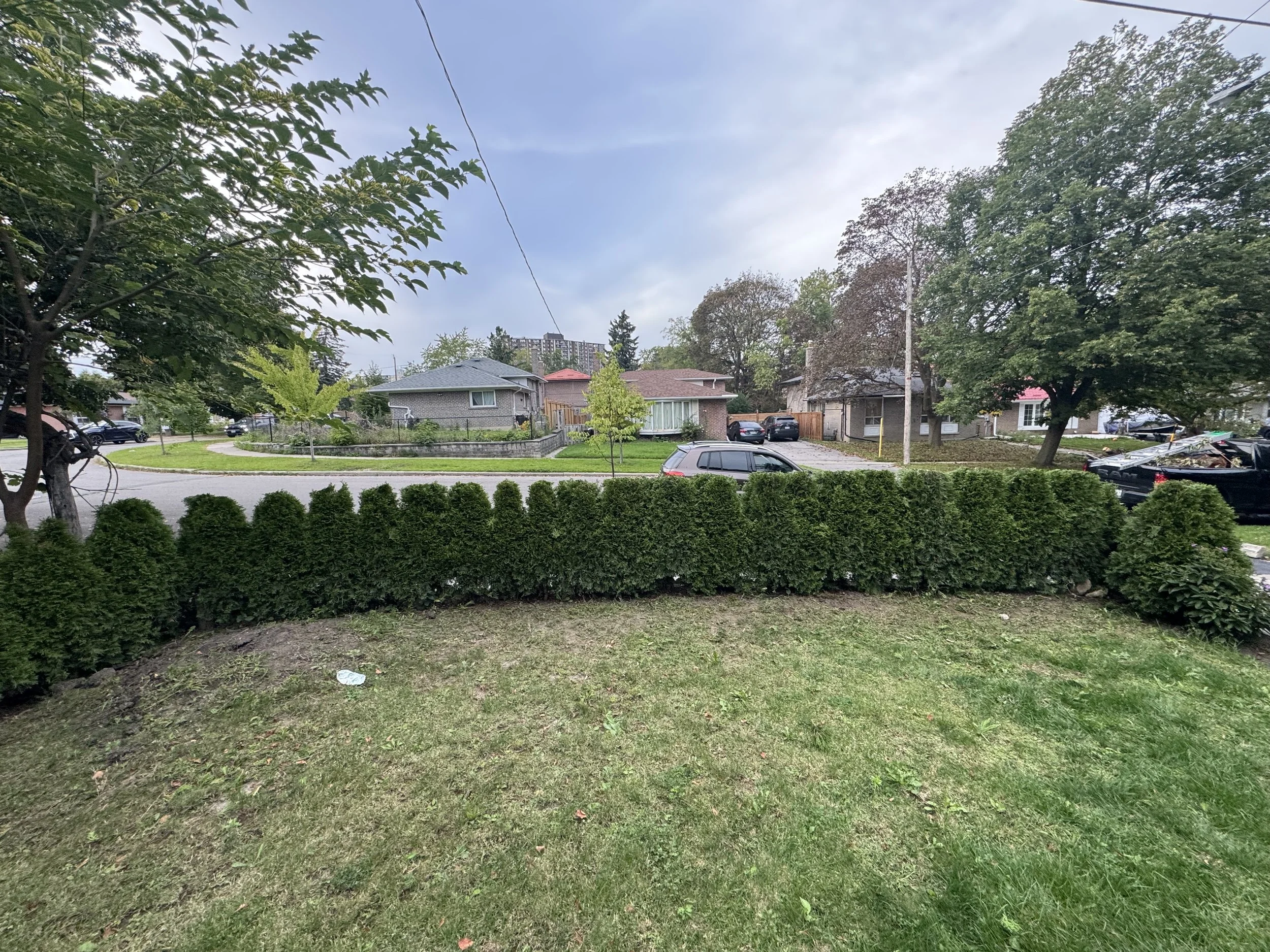 OAK&CROWN: HEDGING /2026