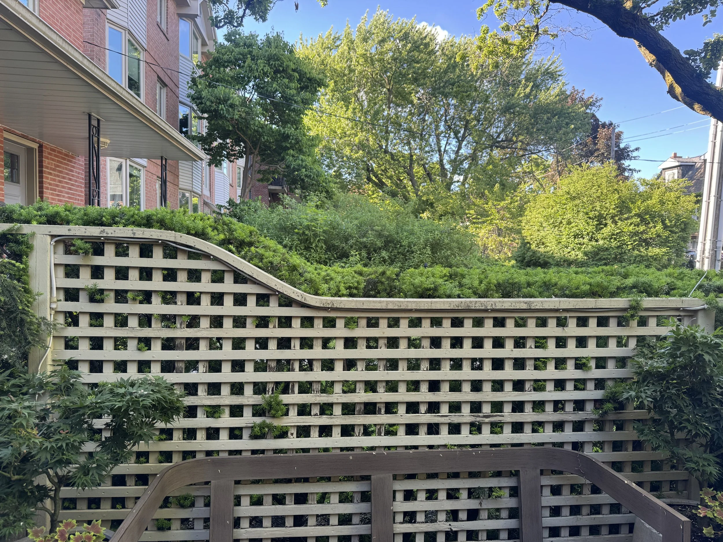 OAK&CROWN: HEDGING /2026