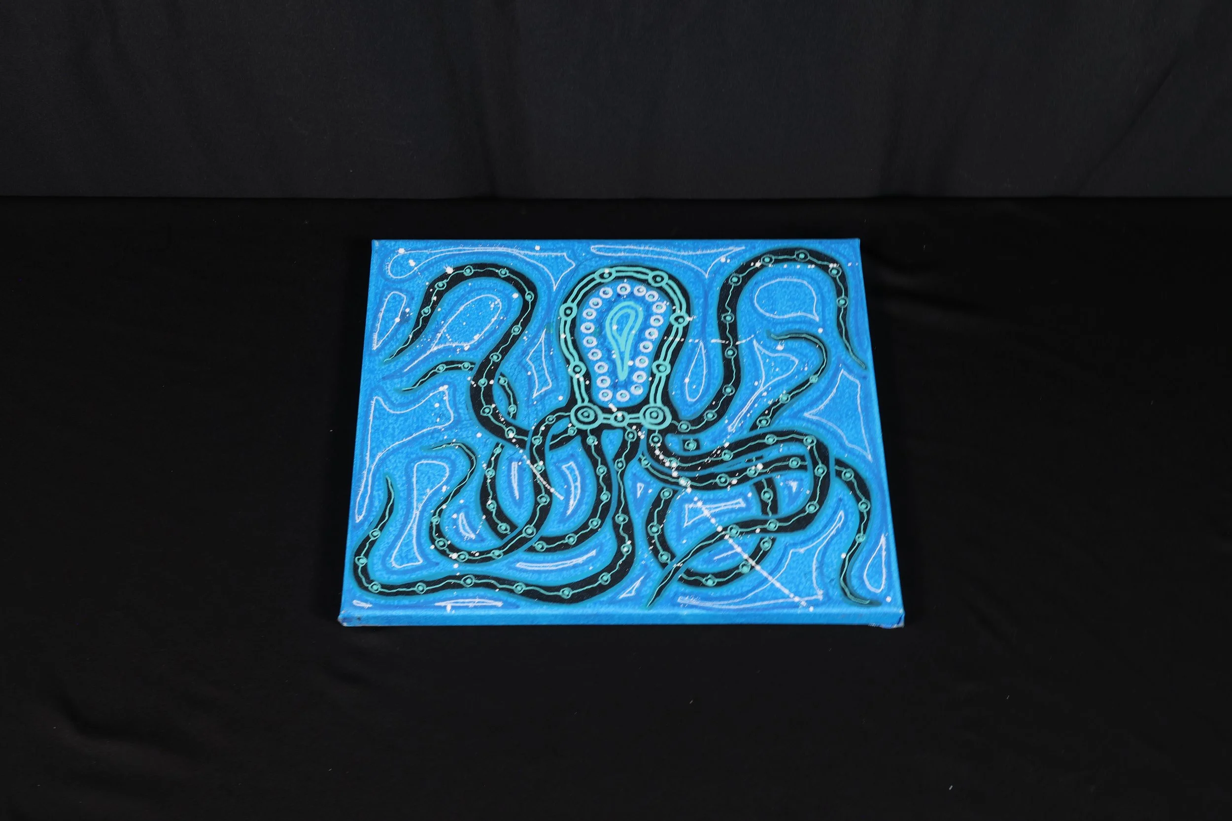 AW005 salt water octopus
