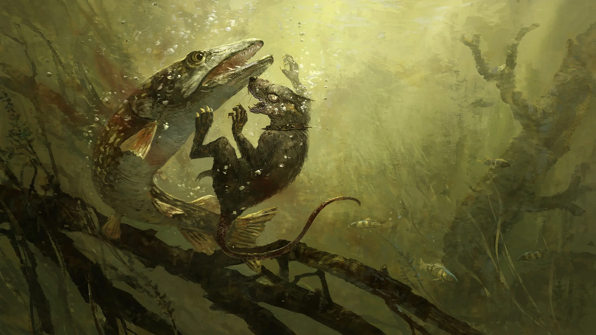 jared-shear-redwall-gloomer-stormfin.jpg