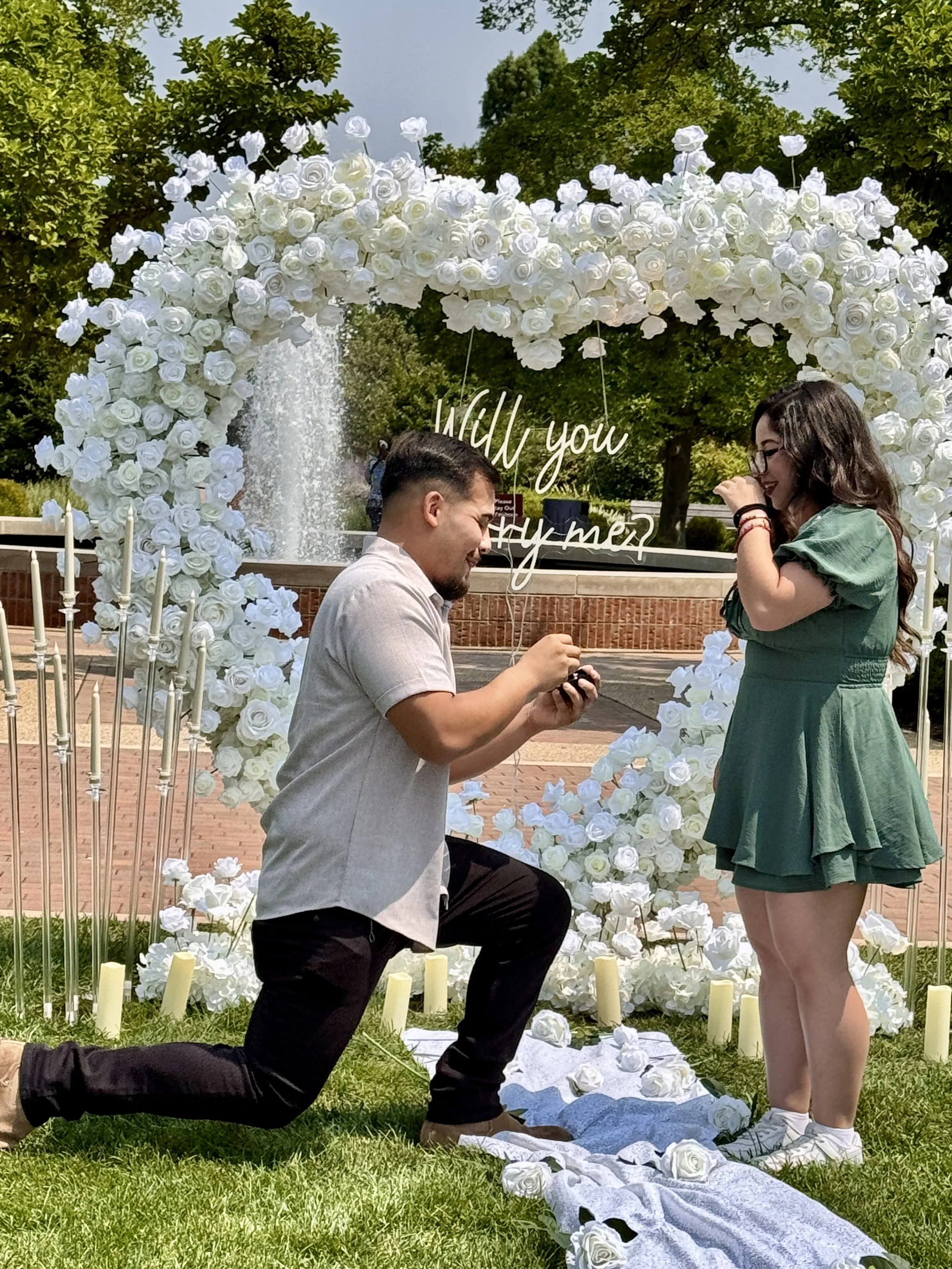 proposal-backdrop-naperville.jpg