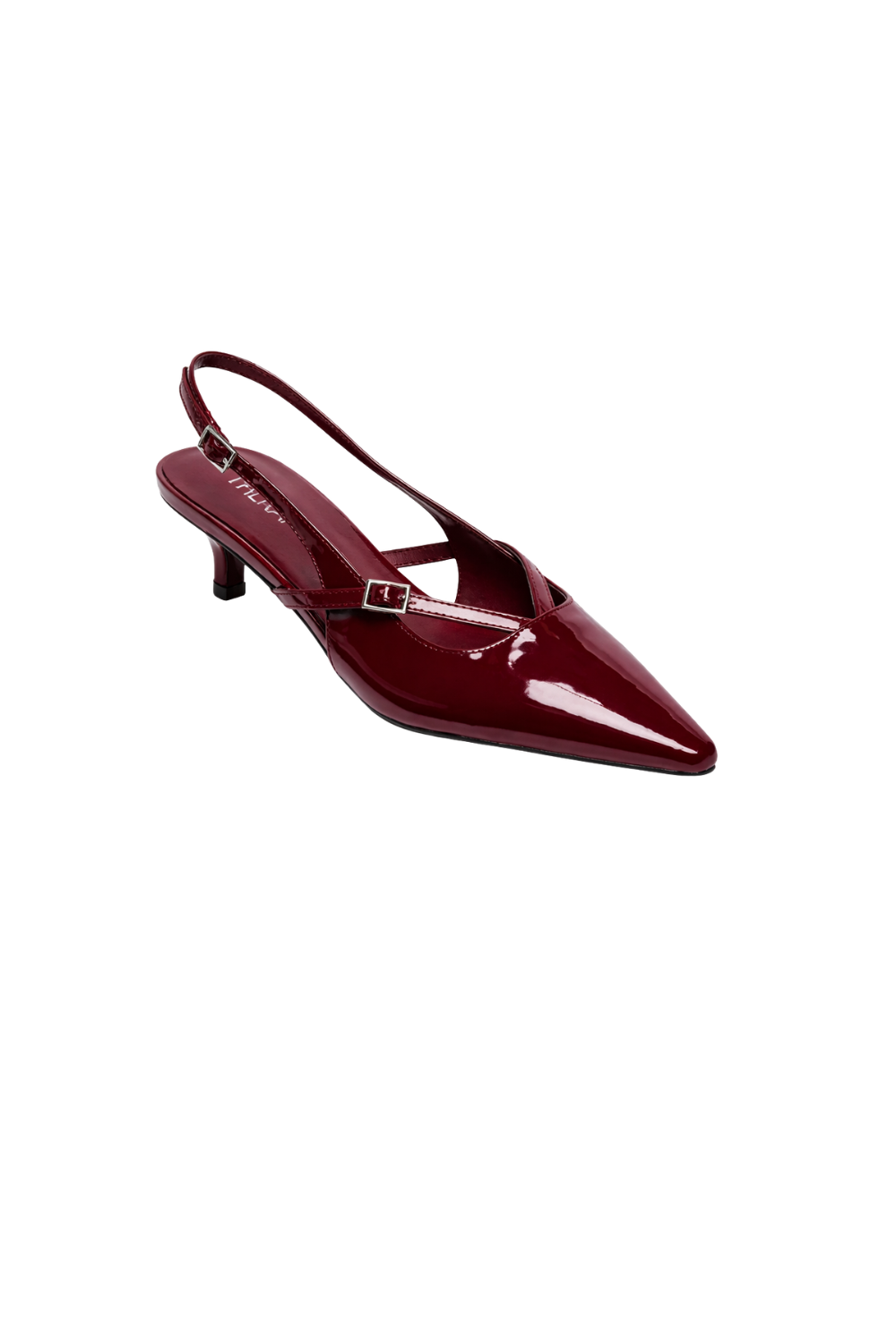 womens Slingback Pointed Toe buckle Heel style-edited.png