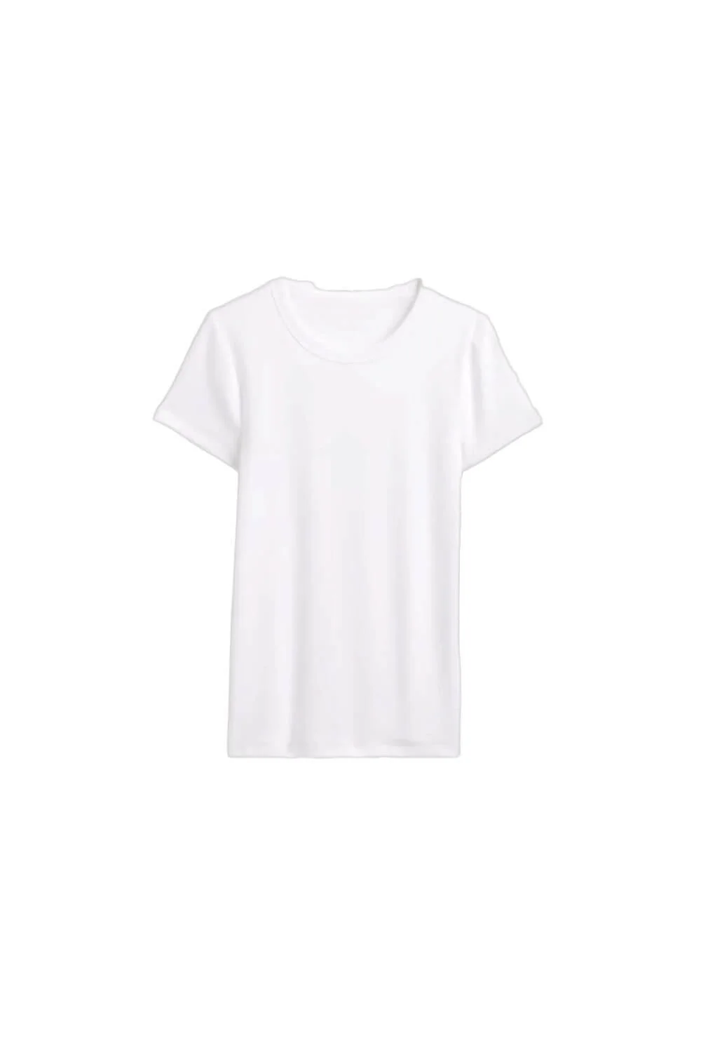 basic-white-t-shirt-fitted-crew-neck-top.jpg