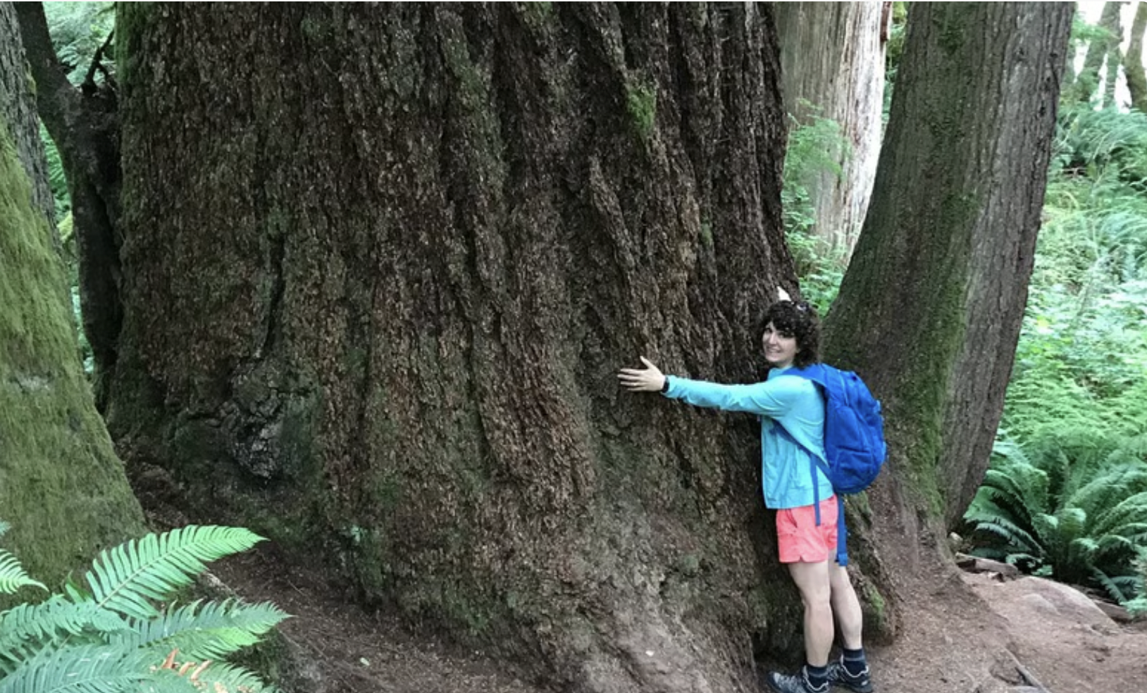 A woman hugging a large tree in a forest with lush green foliage and ferns.