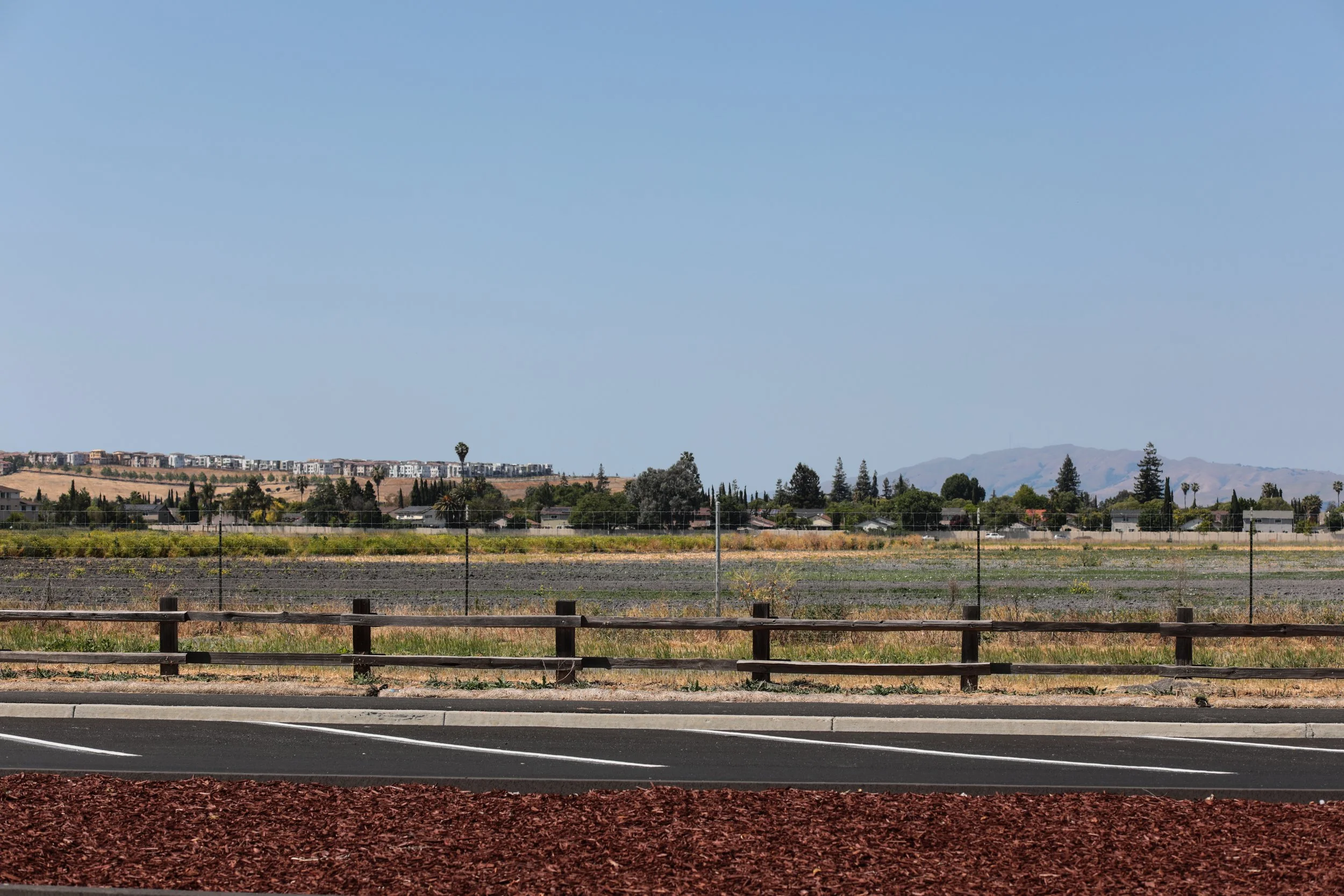 Martial Cottle Park 2.jpg