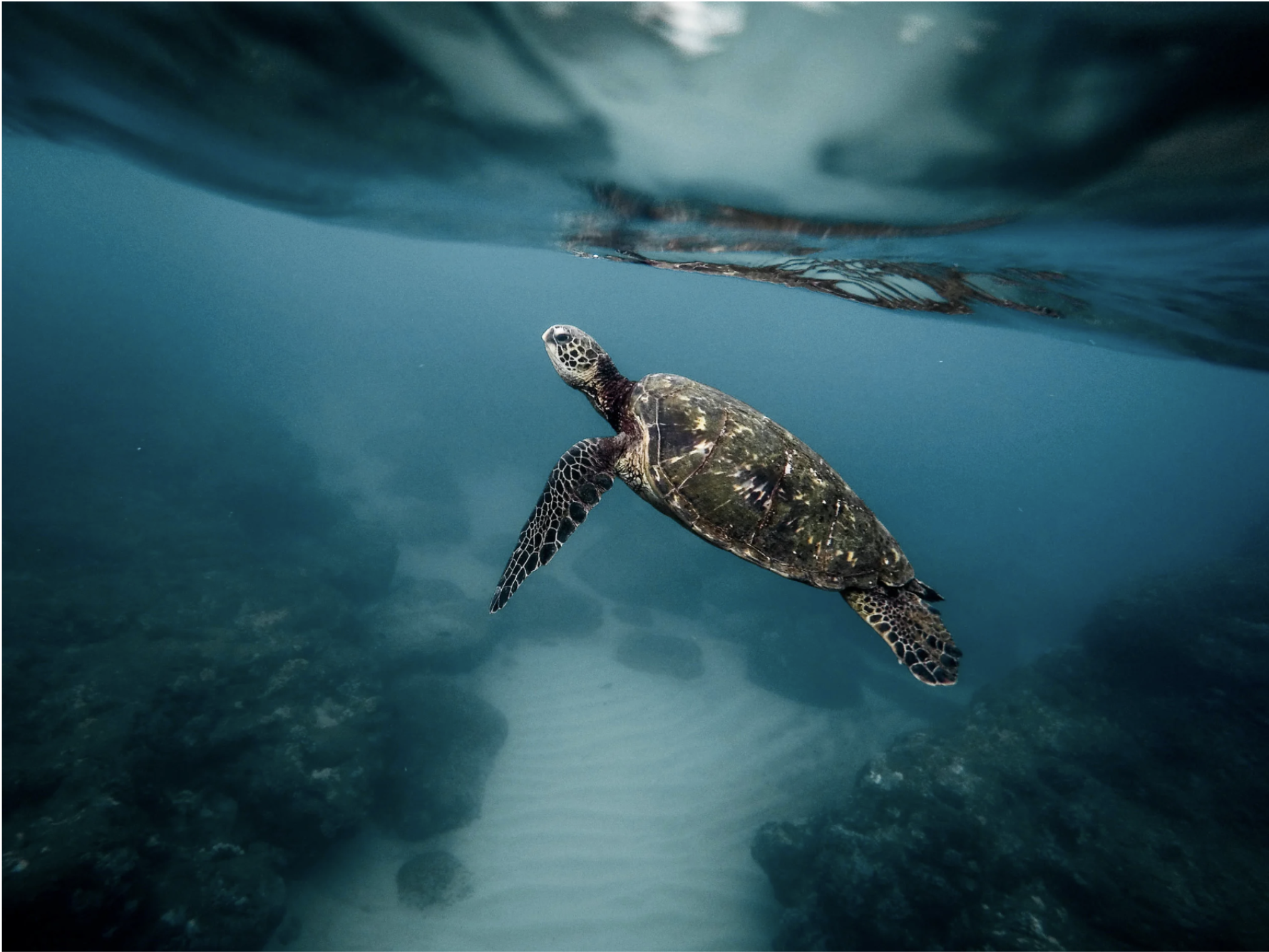 Screenshot 2026-01-26 at 10.26.17 PM.png