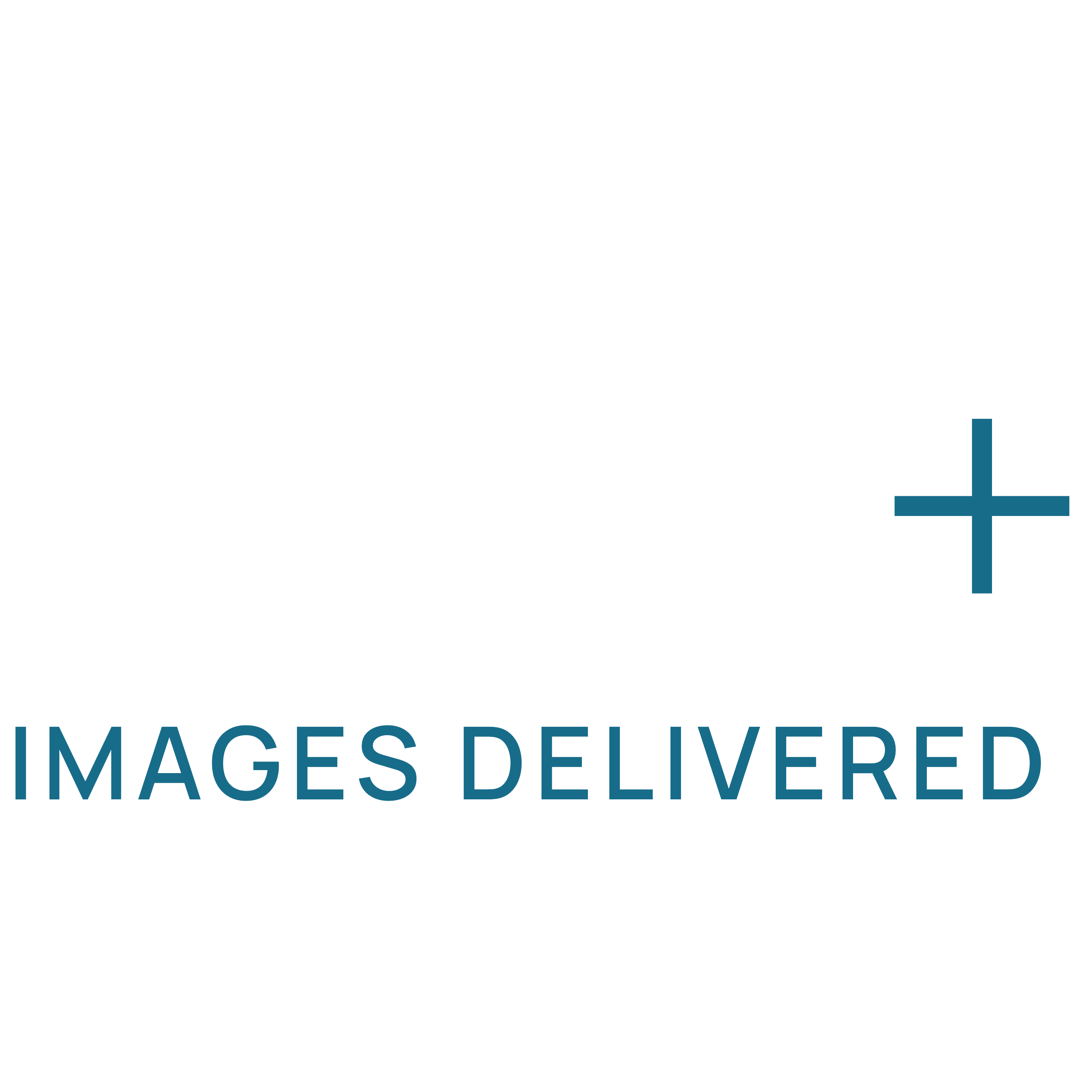 Large white number 250k plus sign with the words images delivered, indicating over 250,000 images delivered.