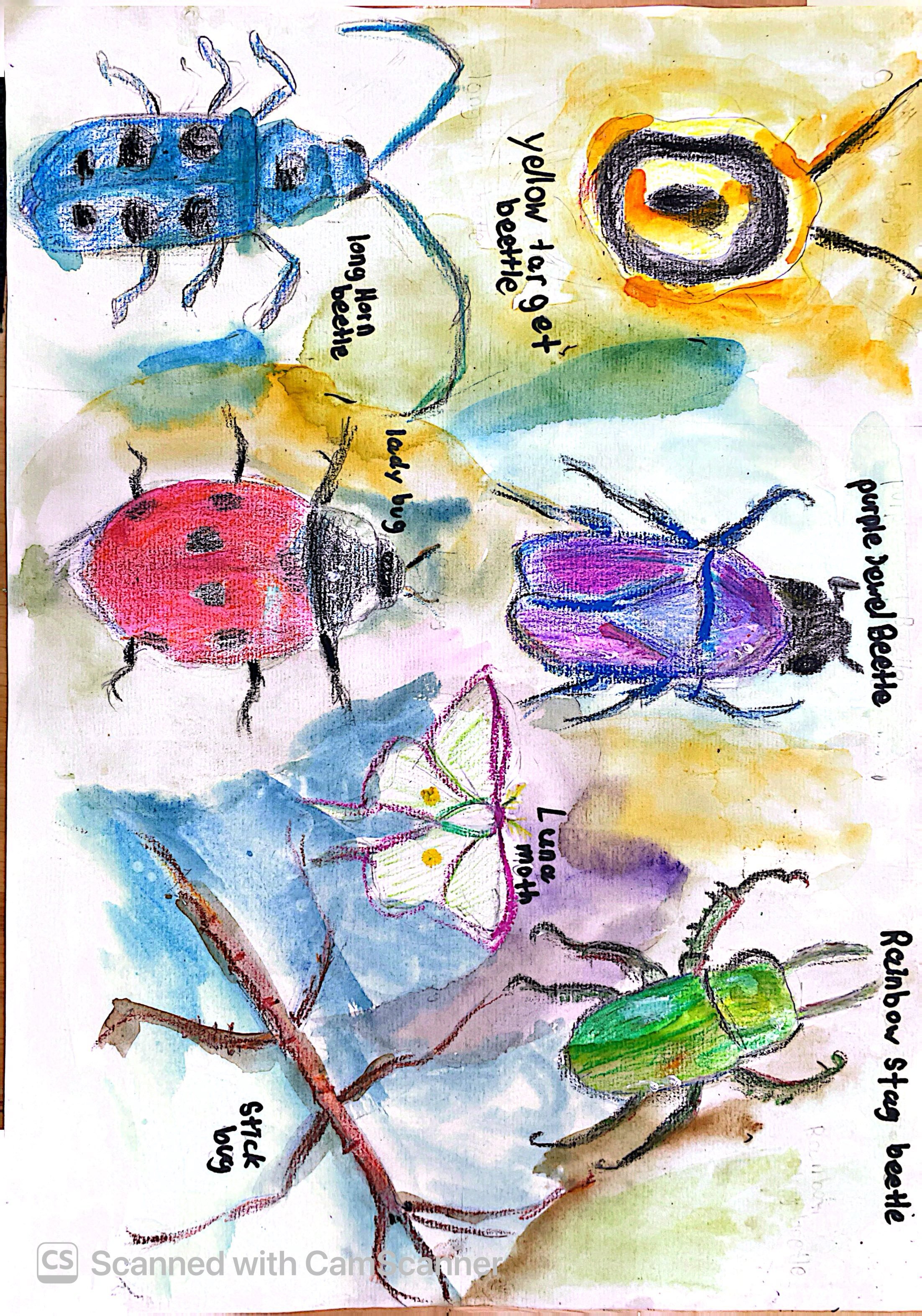 CamScanner 13-9-26 15.47_1.JPG