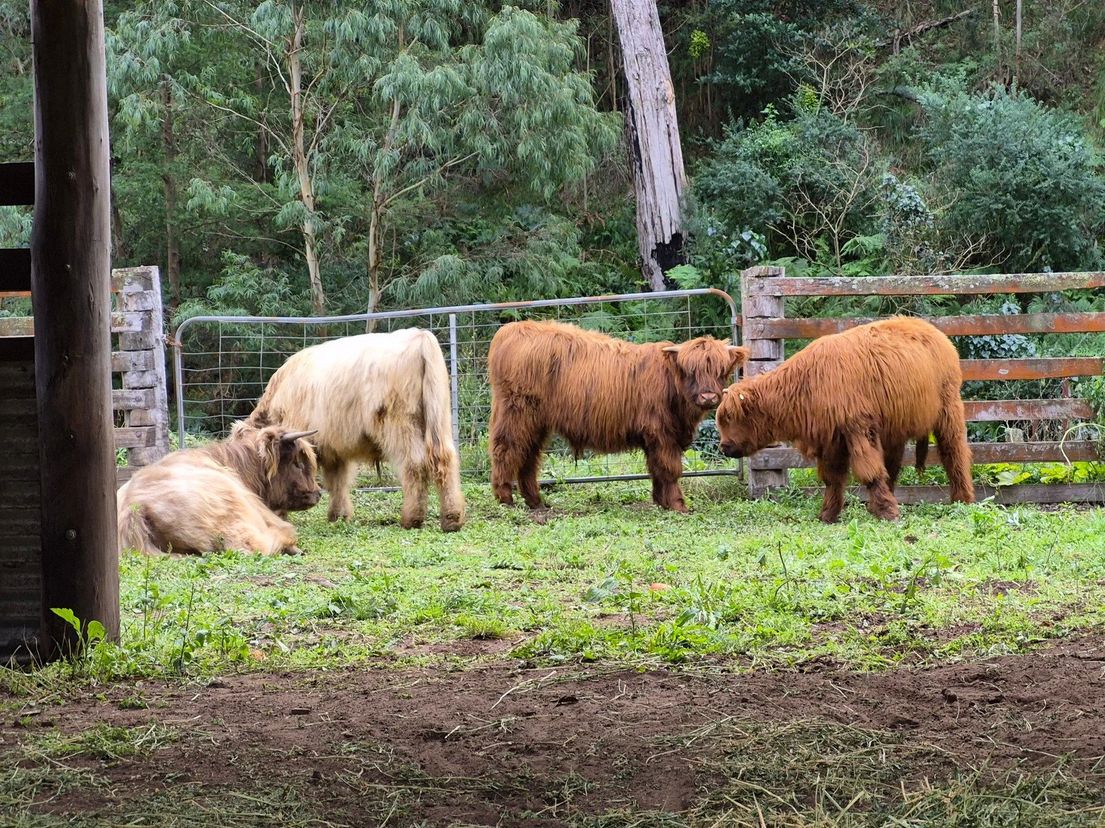The growing farm