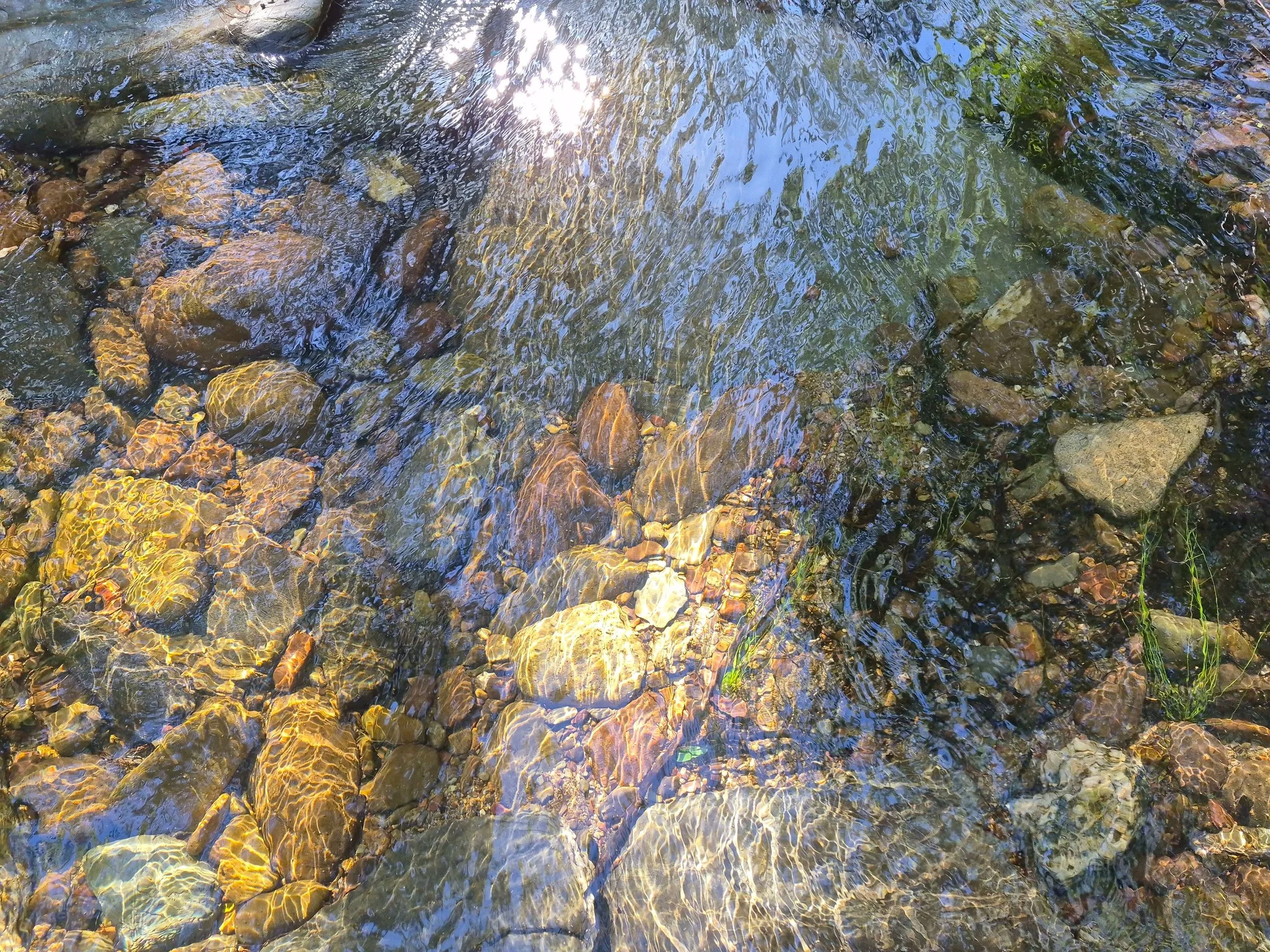 Clear stream or river with rocks and pebbles visible underwater, sunlight reflecting on the surface.