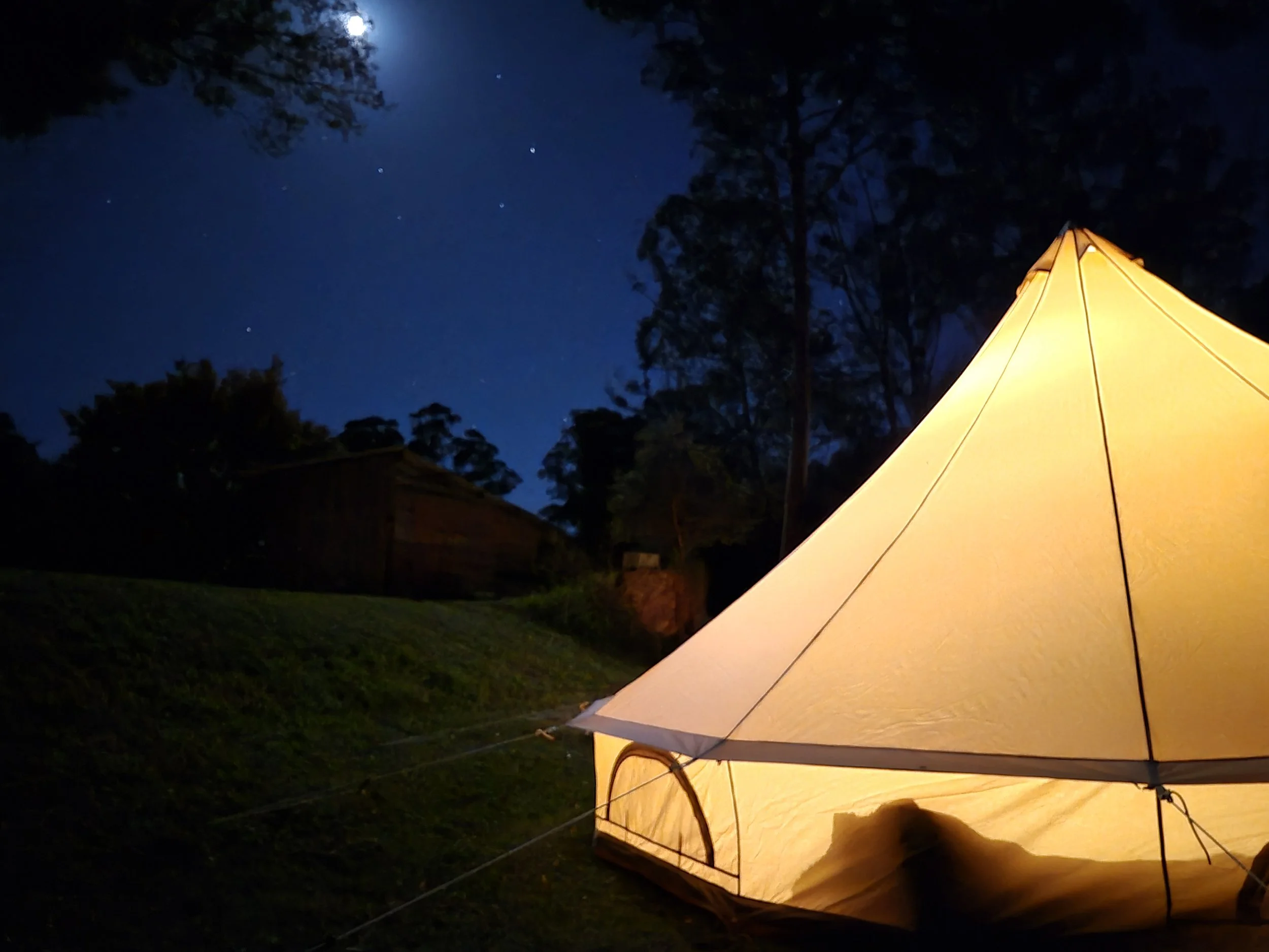 A yellow tent with internal lighting is set up outdoors at night, surrounded by trees, with a visible moon and stars in the dark sky.