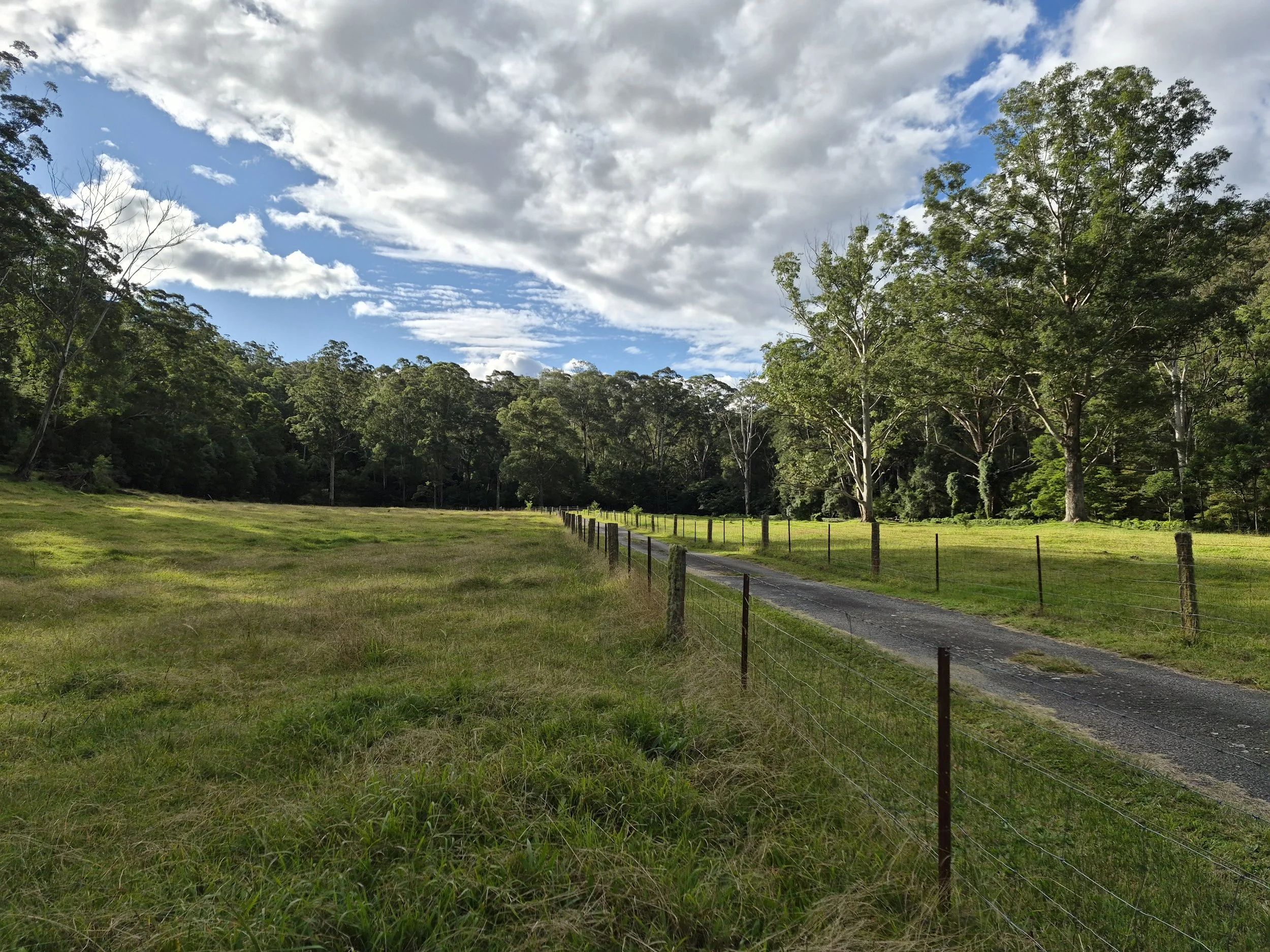 Wide green paddock and arrival road beneath a bright sky at Riverdell Farmstay.