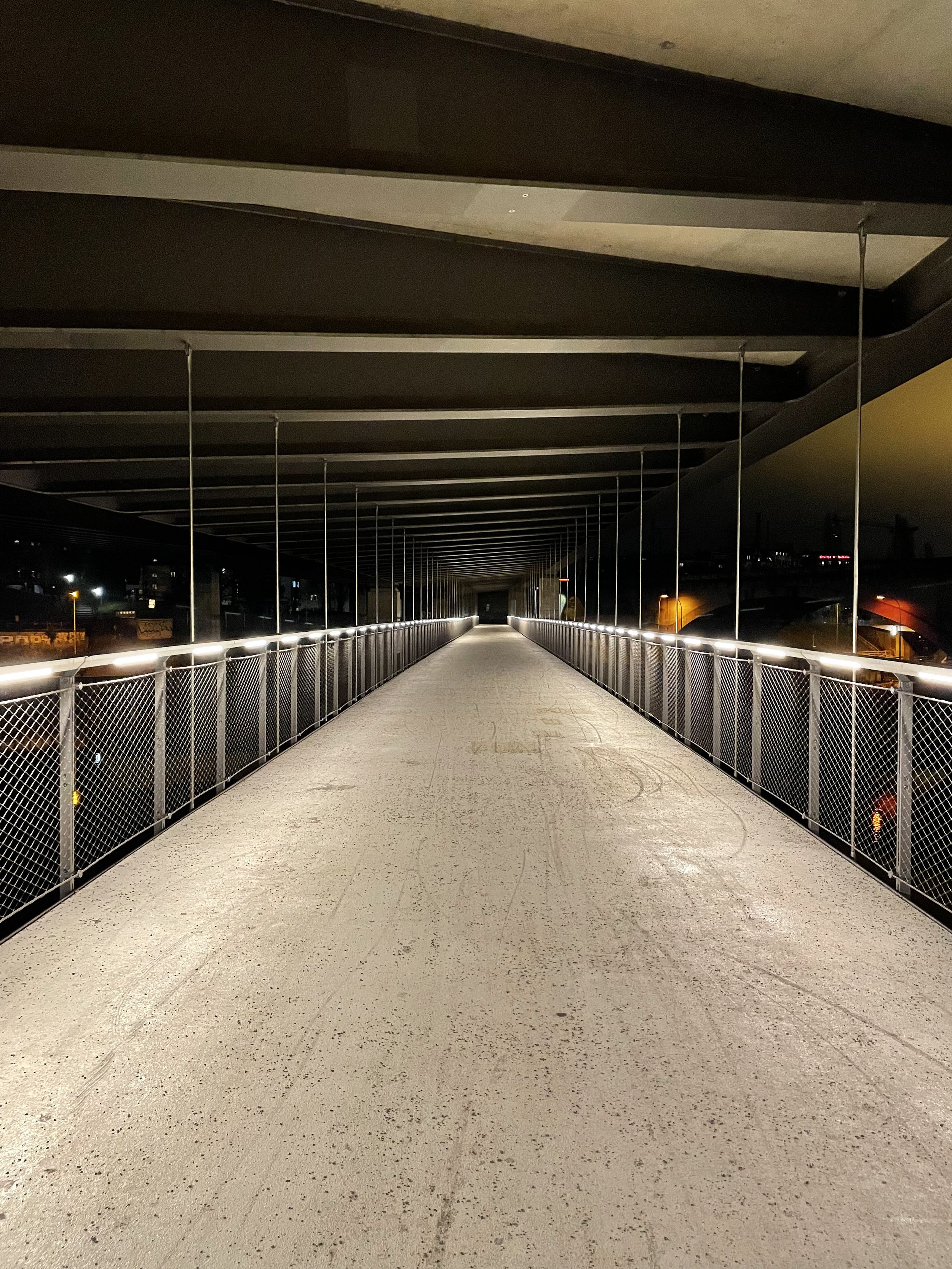 Mutter Seelen Allein (Roman)