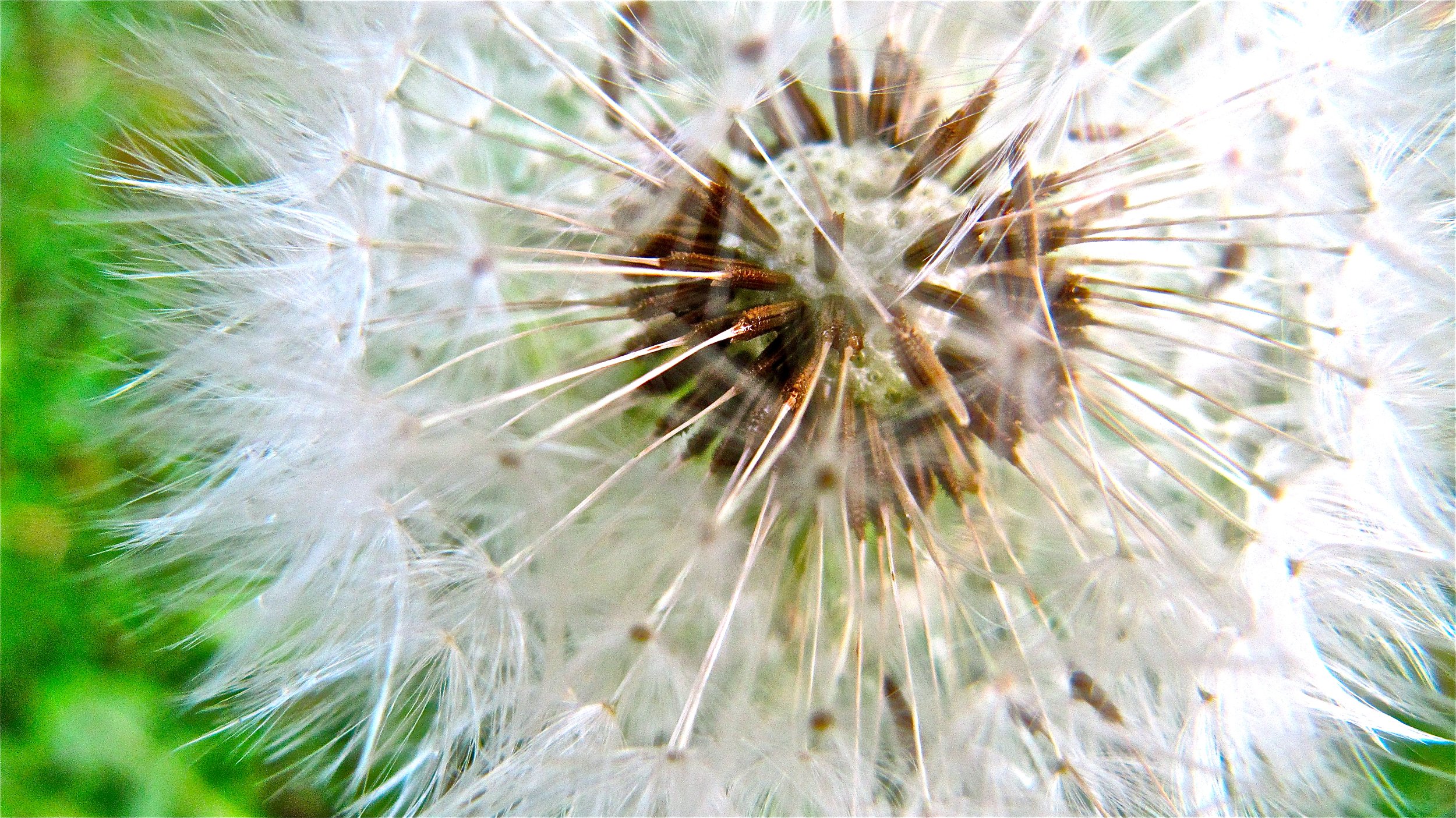 Und wenn sie nicht gestorben ist... (Kurzgeschichte)