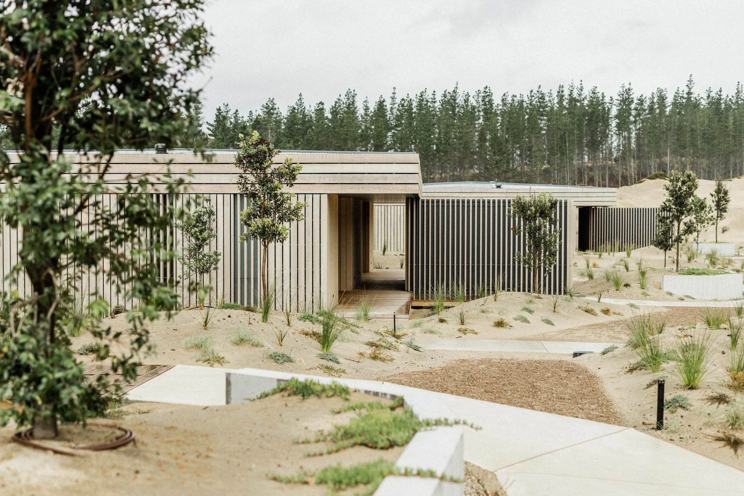 Te Arai Links Conference Room