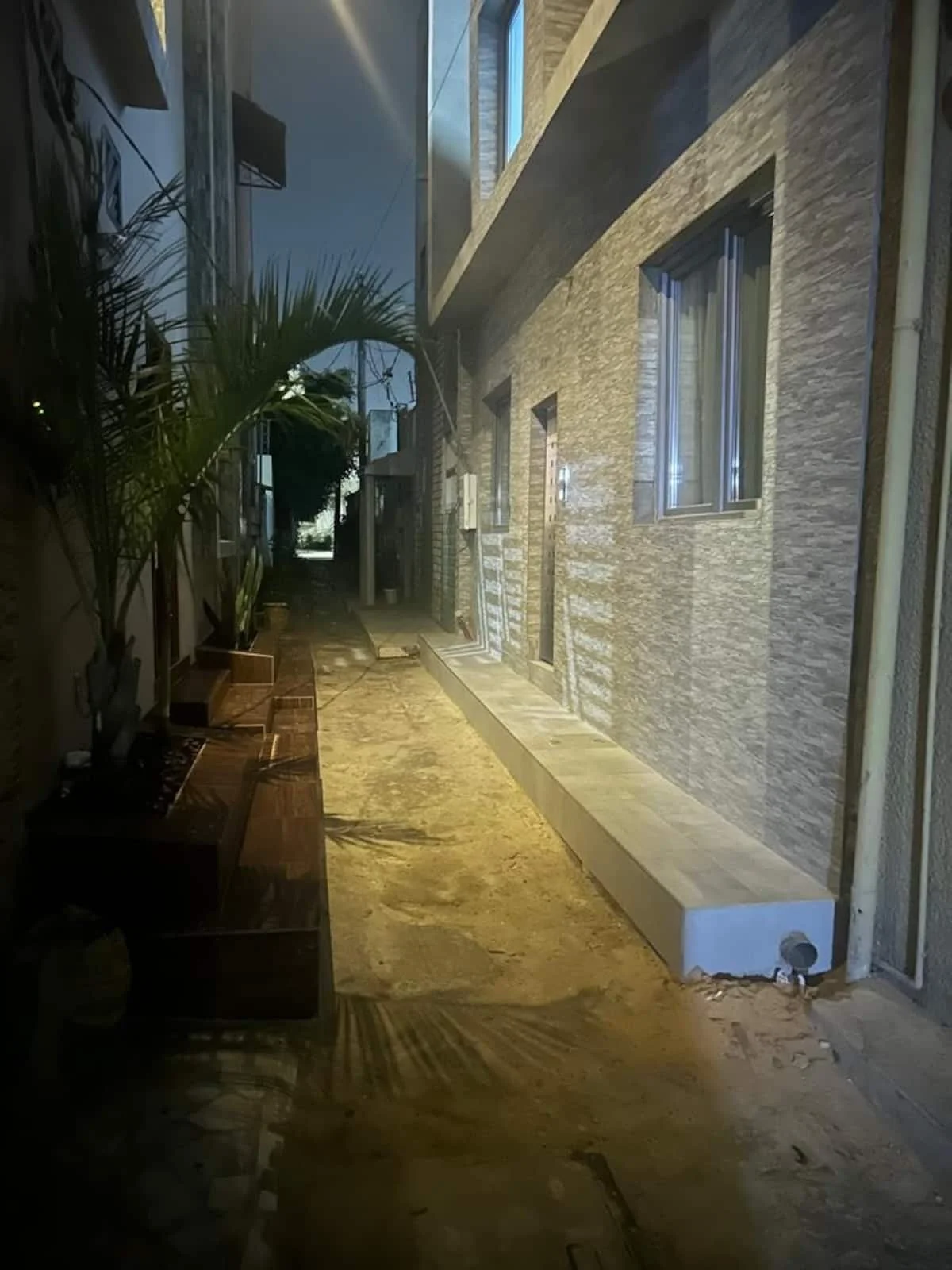 Allée étroite entre deux bâtiments, avec une plante à gauche et quelques fenêtres à droite, sous un ciel crépusculaire.