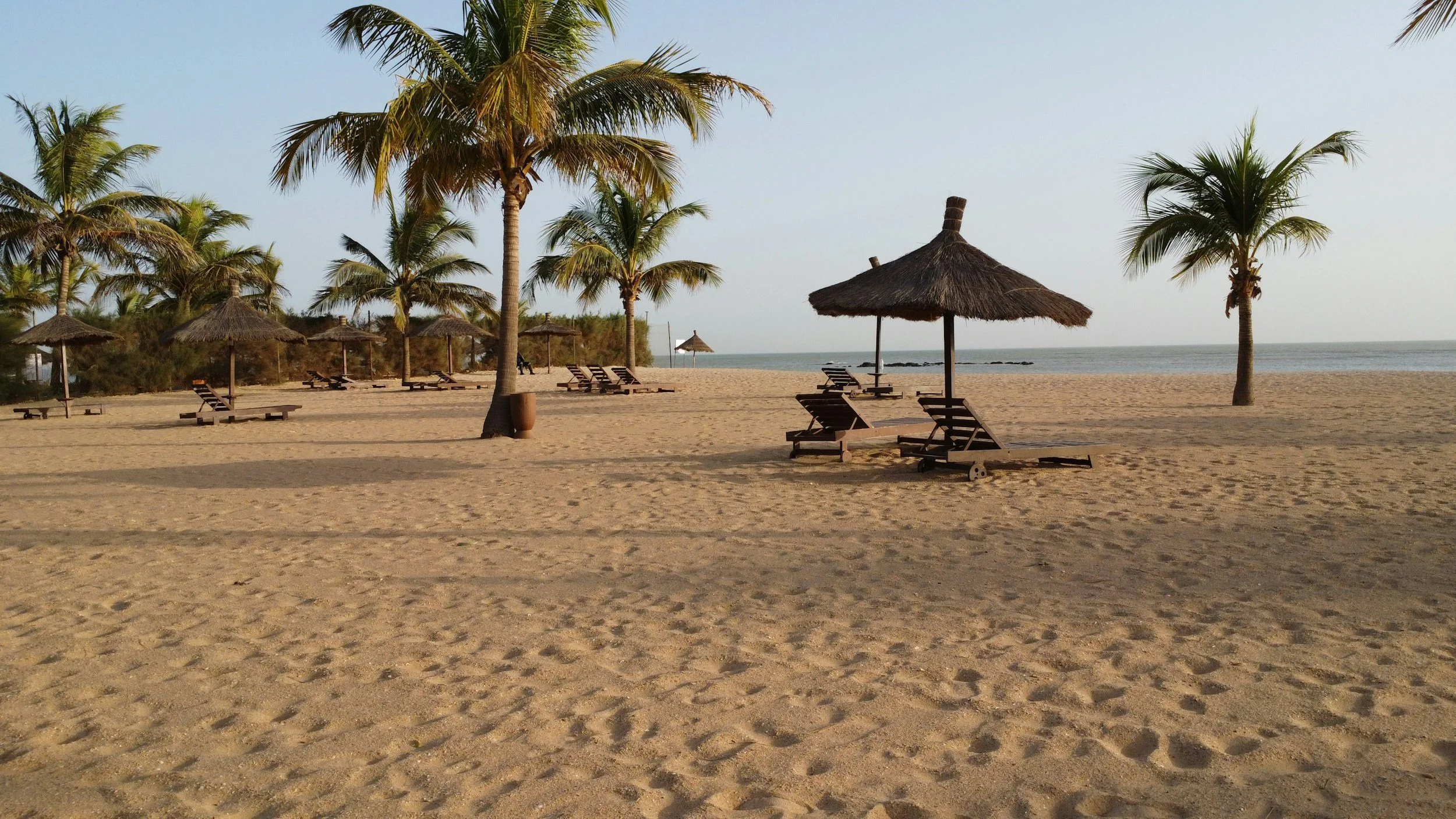 Plage déserte avec des chaises longues en bois et des parasols en paille, palmier en arrière-plan, bord de mer calme, ciel clair.