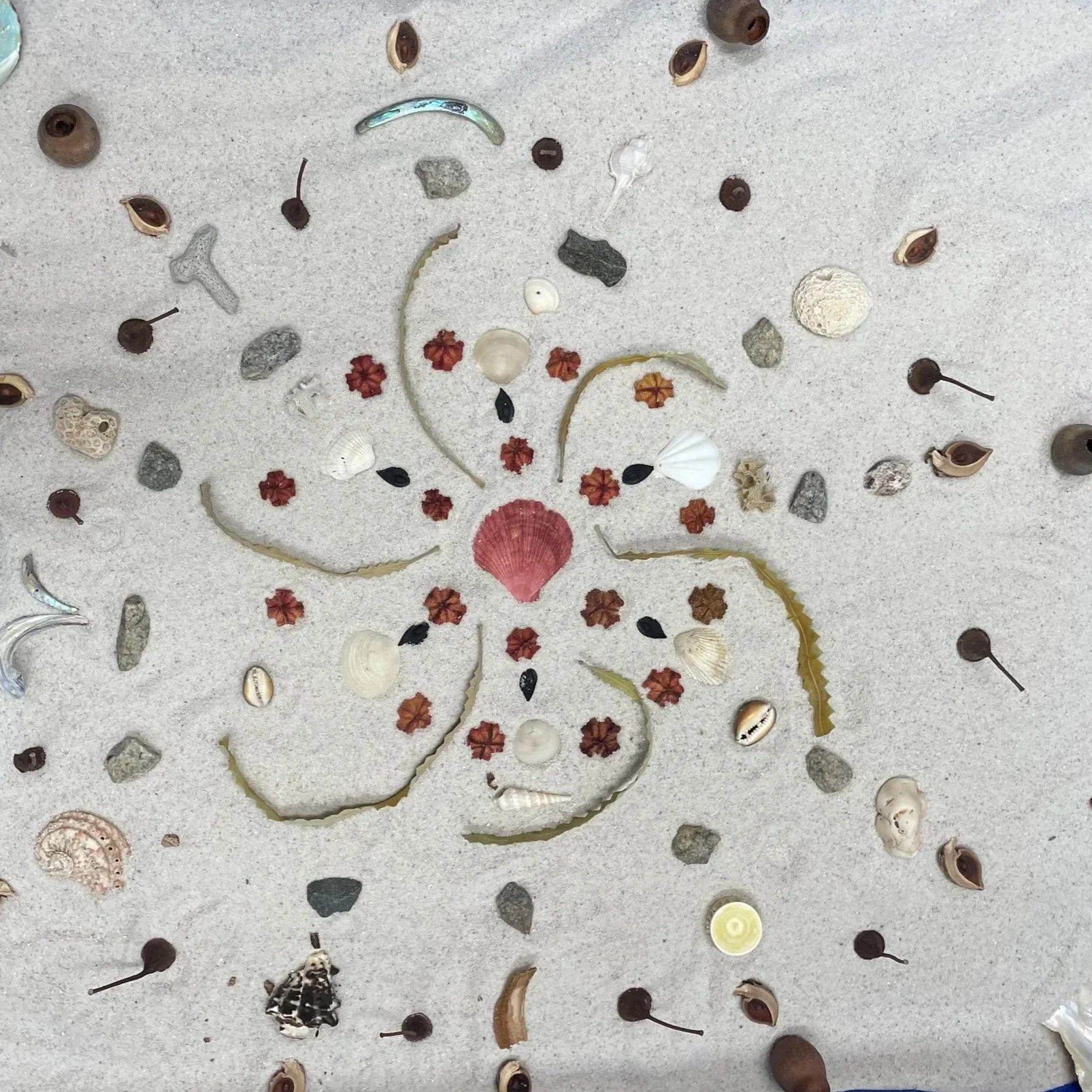 mandala on sand made from natural materials including shells, seeds and leaves
